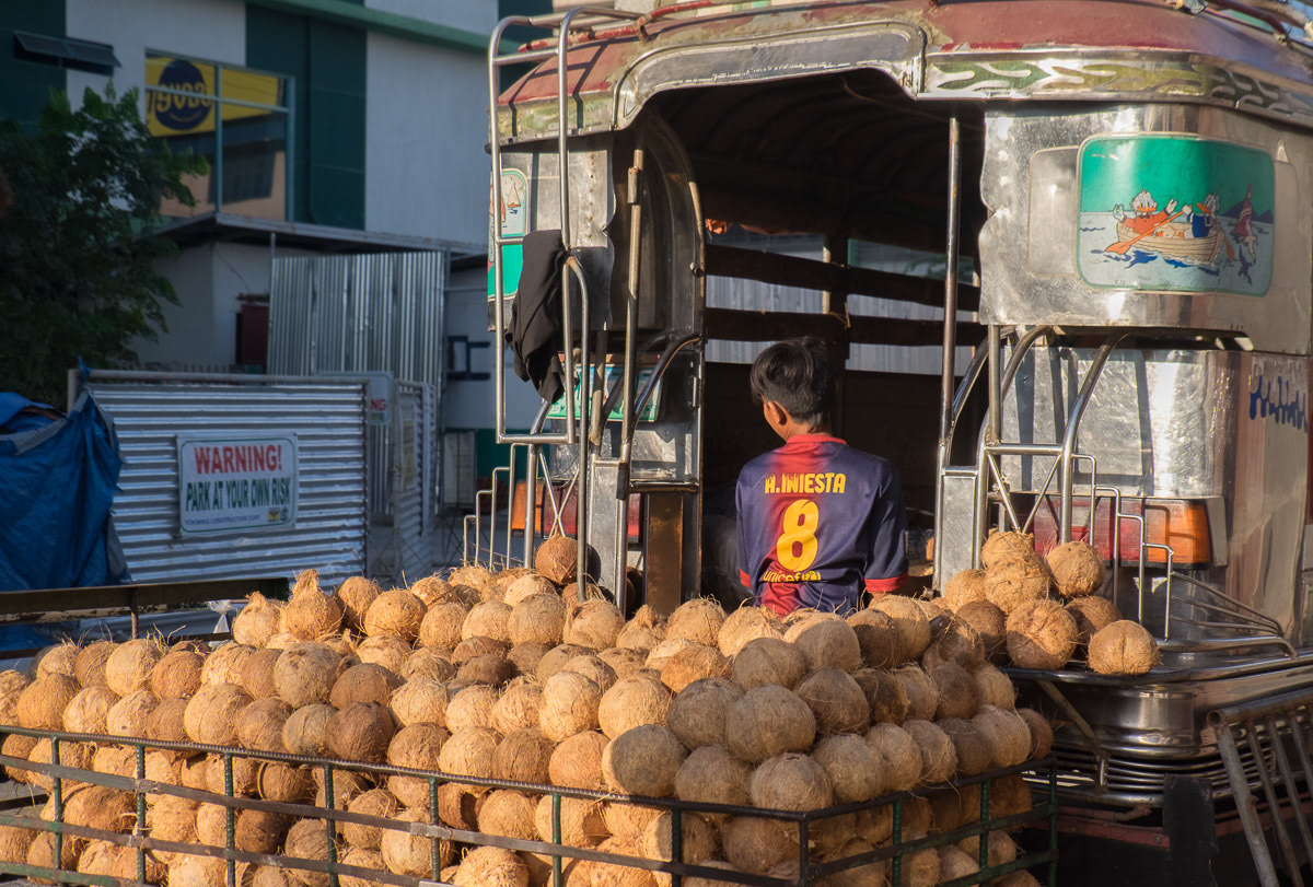 Coconuts on rear of a jeepney, Marikina, Philippines, 2015