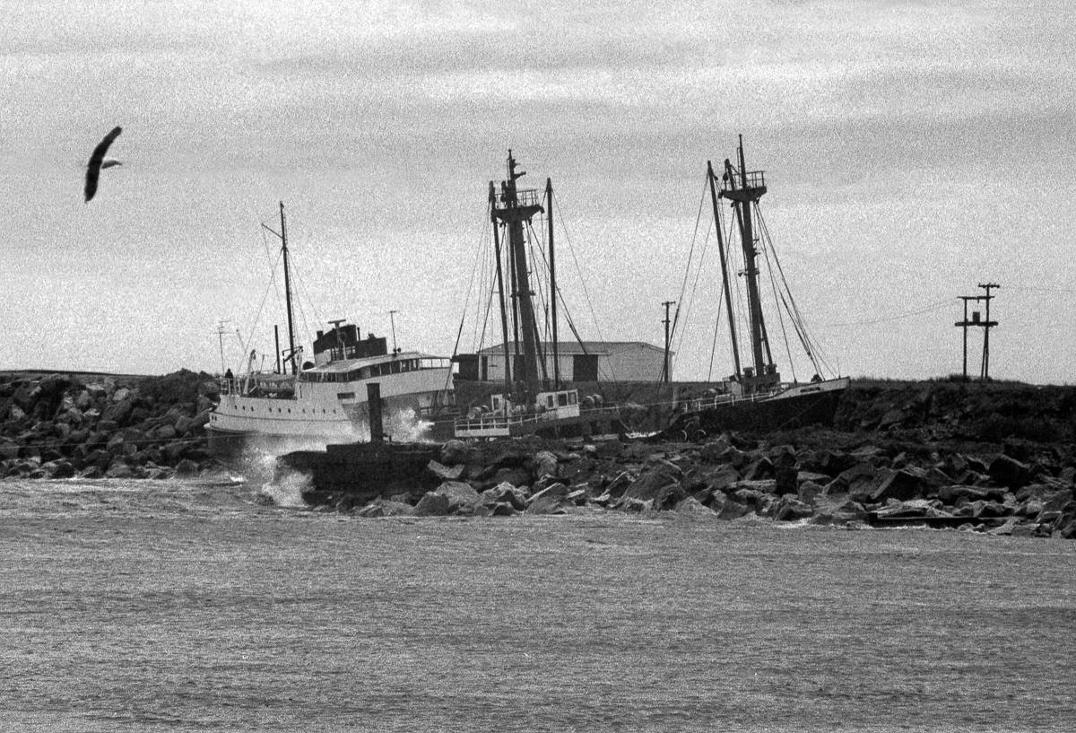 The collier "Titoki" after running aground inside the Grey River bar, Greymouth, West Coast