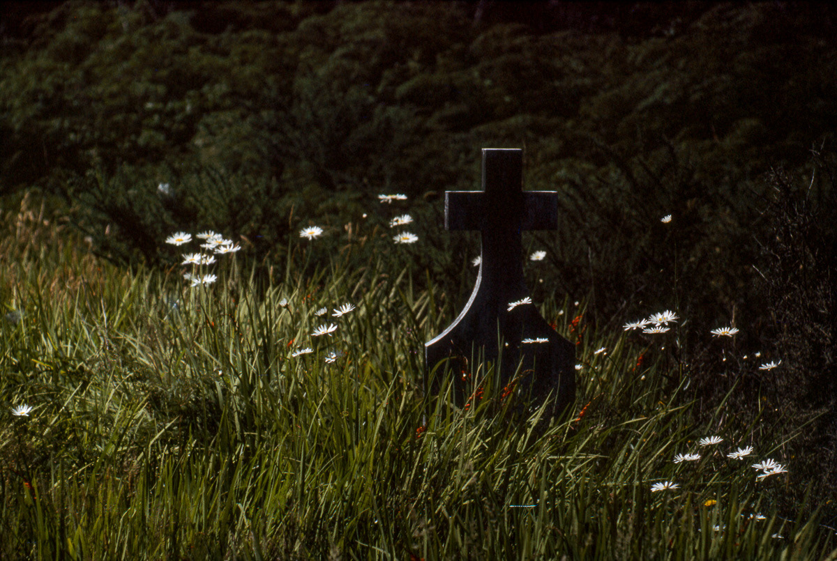 Graveyard with flowers at Blackball, West Coast