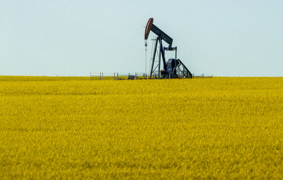Canola field with an oil pump, as seen from the train, Alberta, 2011