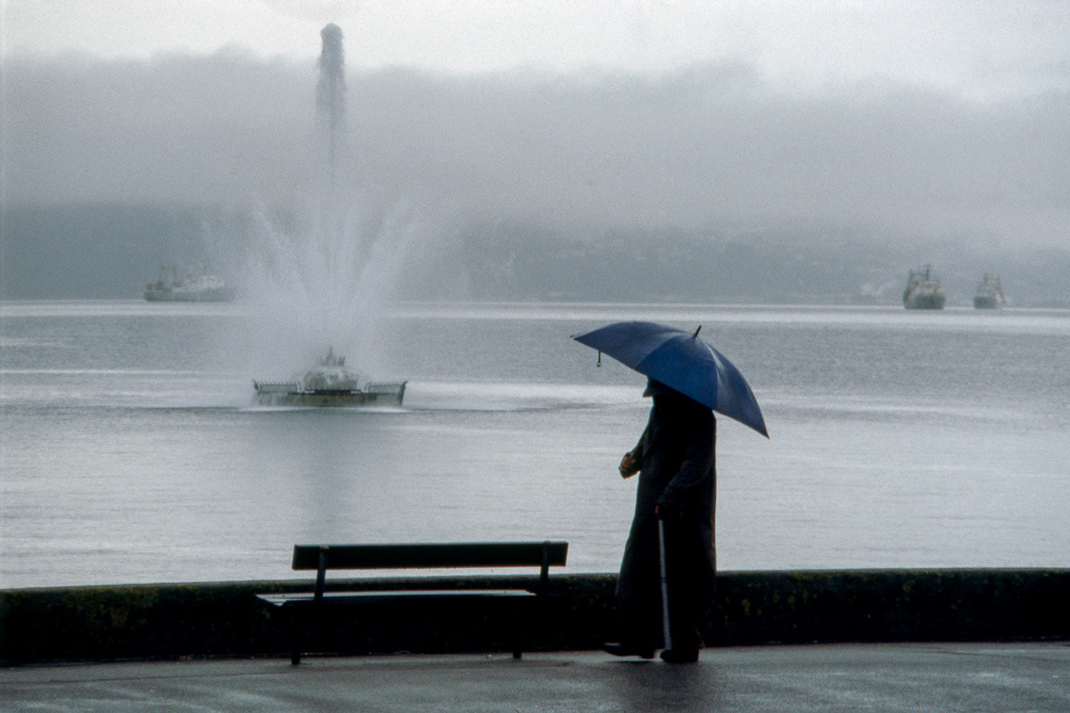 Man walking in the rain with umbrella and Carter Fountain playing on Oriental Bay, Wellington