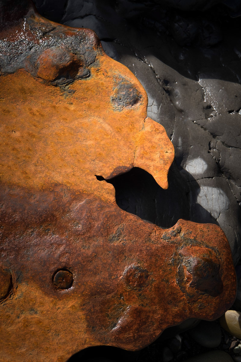 Remnant of the Opoua shipwreck at Tora, Wairarapa coast, 2014