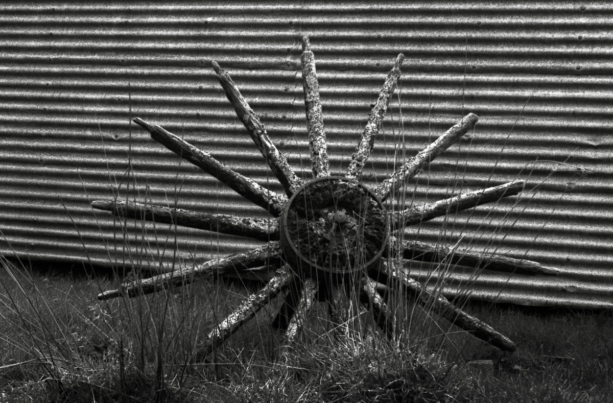 Remains of a cart wheel beside corrugated iron building by the road between Kawhia and Marokopa, 1984