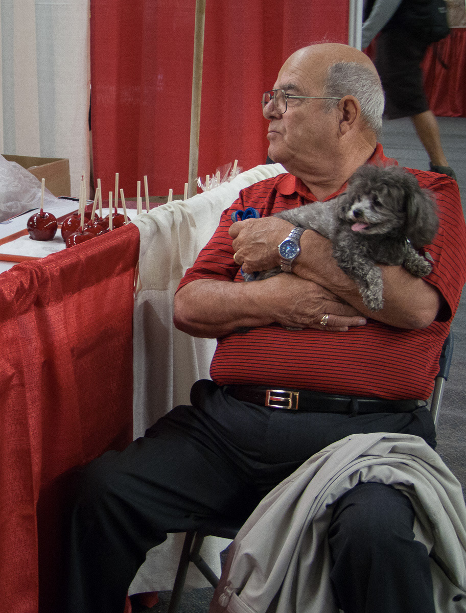 Man holding a small dog beside toffee apple stall, Steveston Salmon Festival, Canada Day, 2011