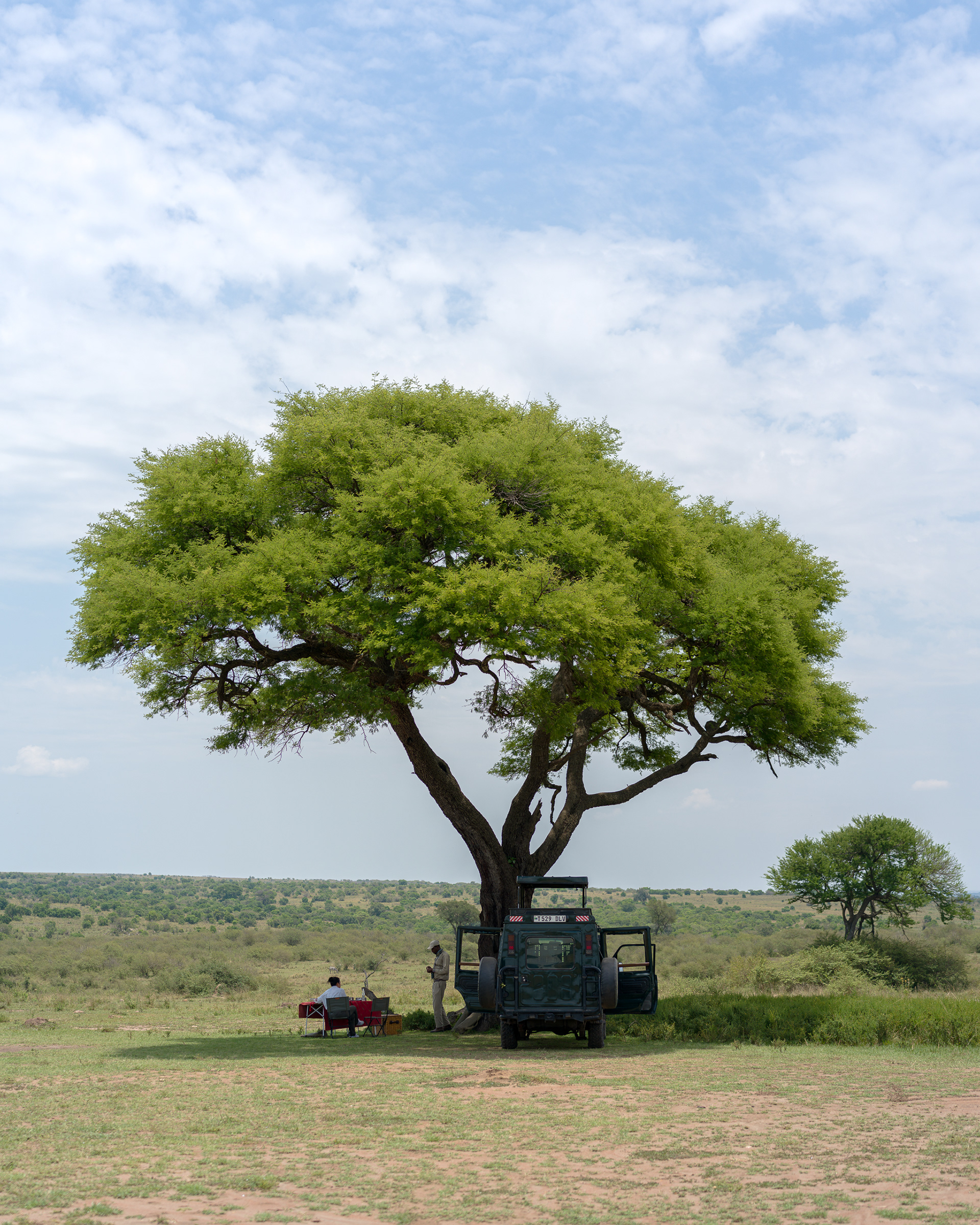 Lunch in Serengeti National Park, Tanzania - Hasselblad X2Dii + XCD 55v
