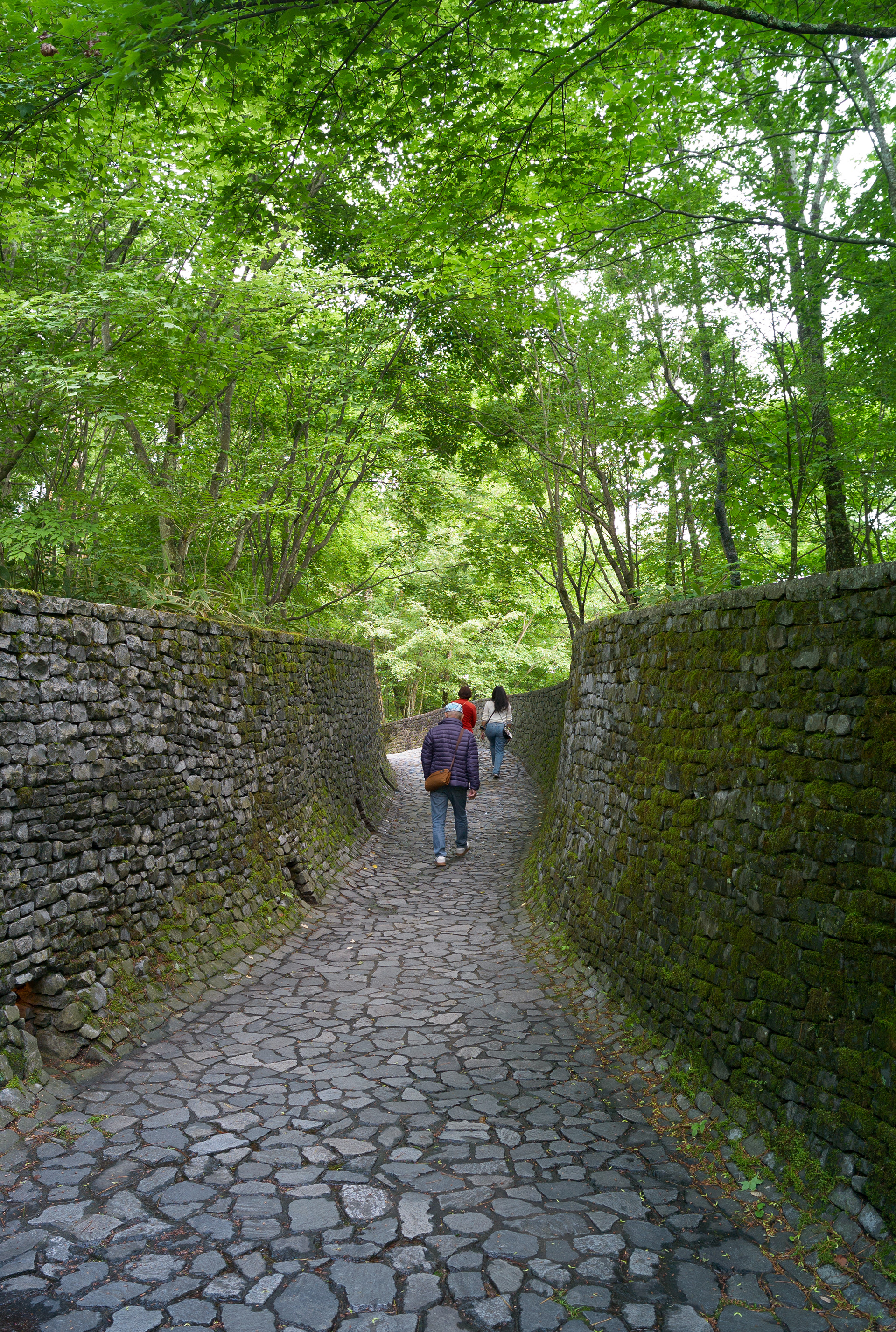 Karuizawa, Japan - Leica M8 - Thypoch Ksana 21mm F/3.5