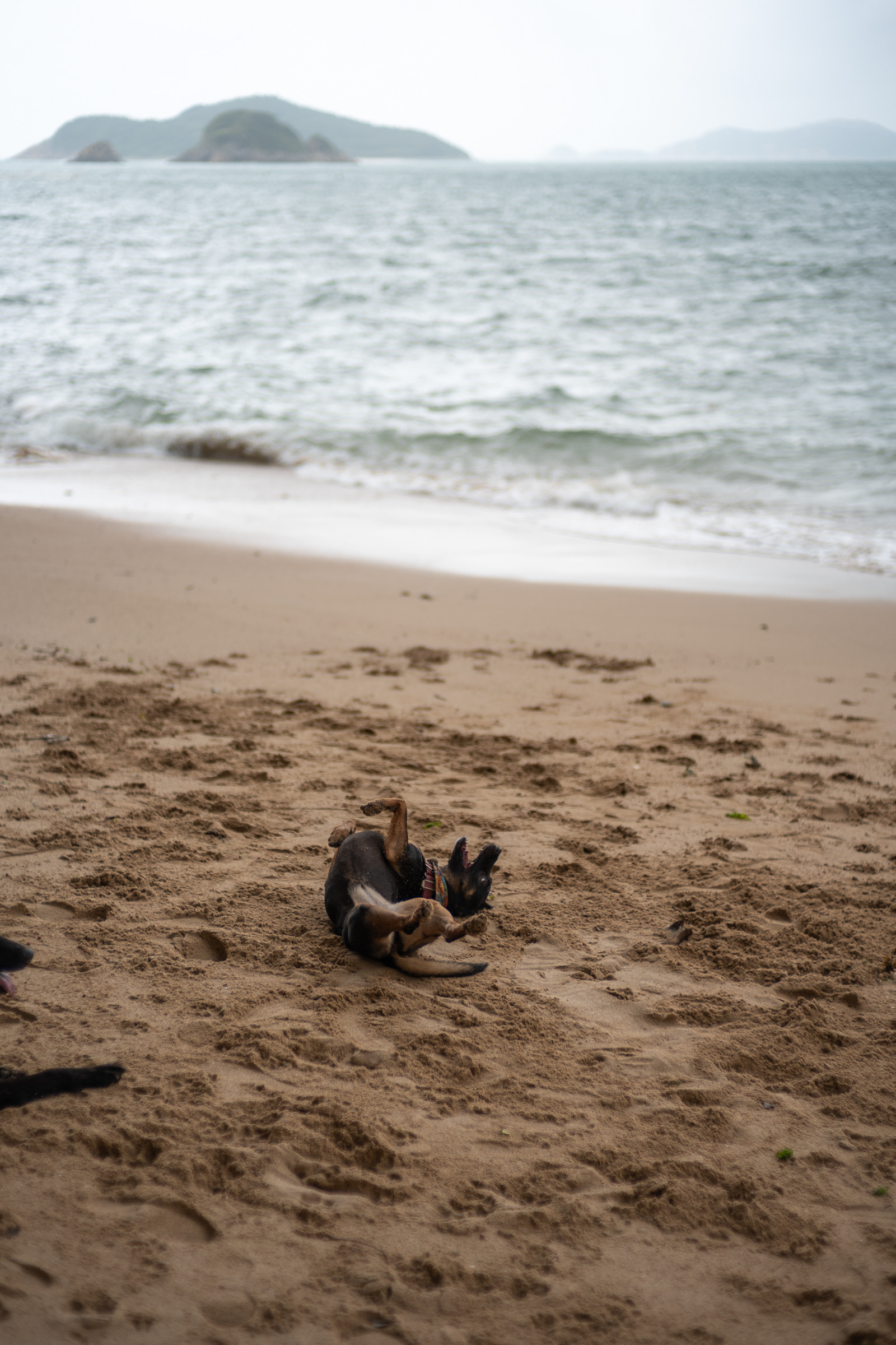 Hong Kong - Leica SL2-S + Zeiss C Sonnar 50mm F/1.5