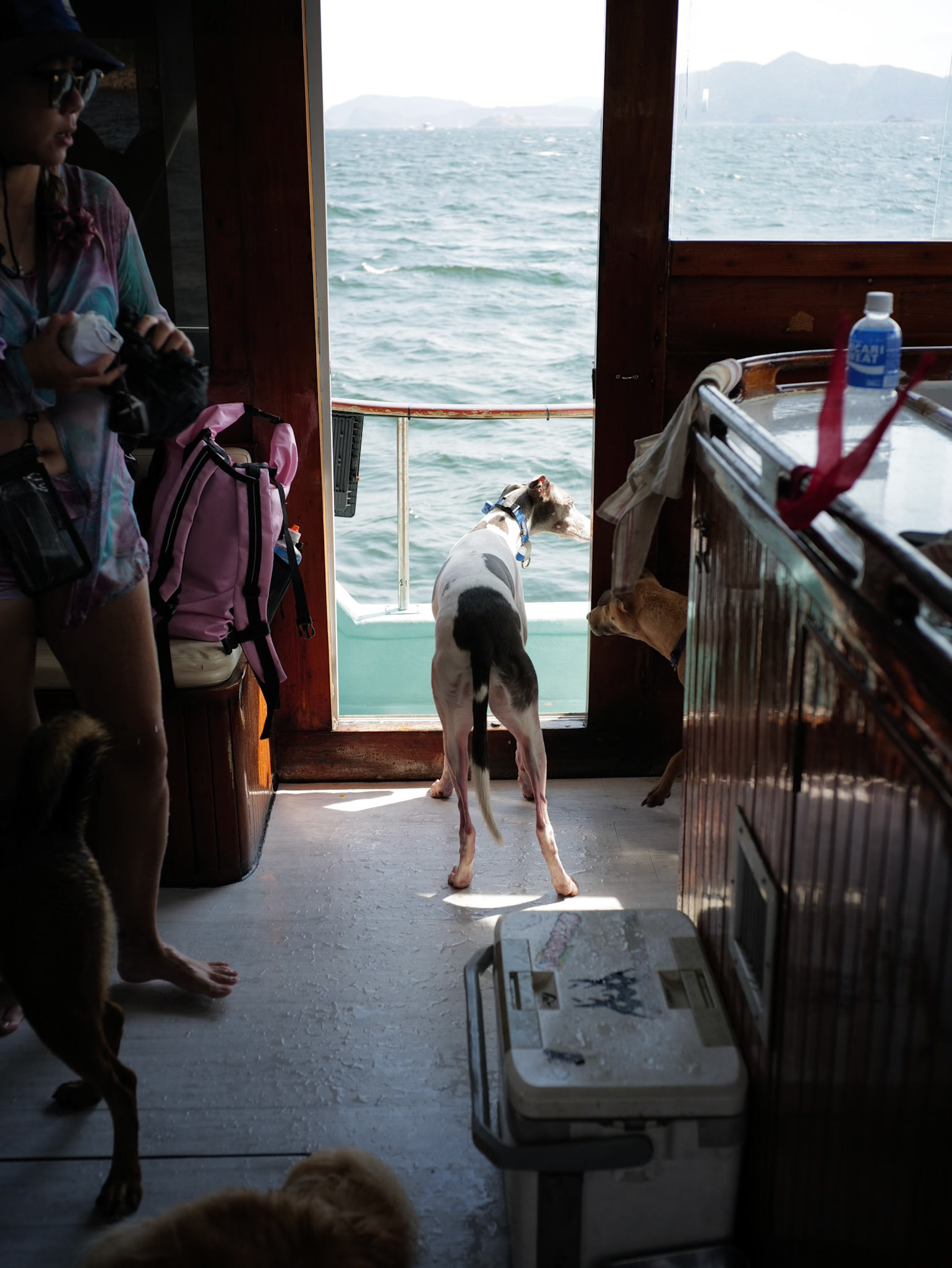 Boat trip, Hong Kong - Leica SL2-S