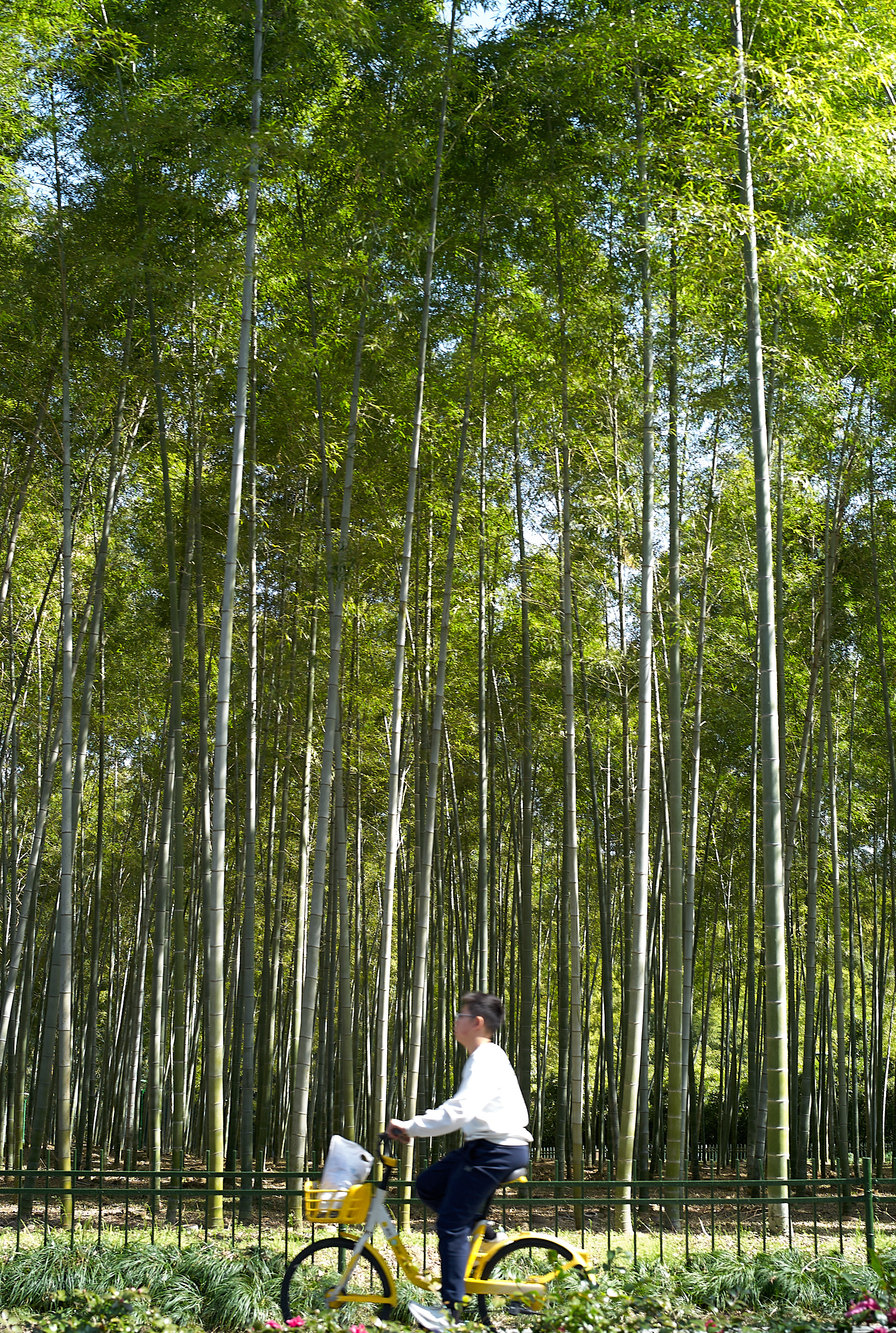 Hangzhou - Leica M8 + Light Lens Lab 50mm F2 Elcan