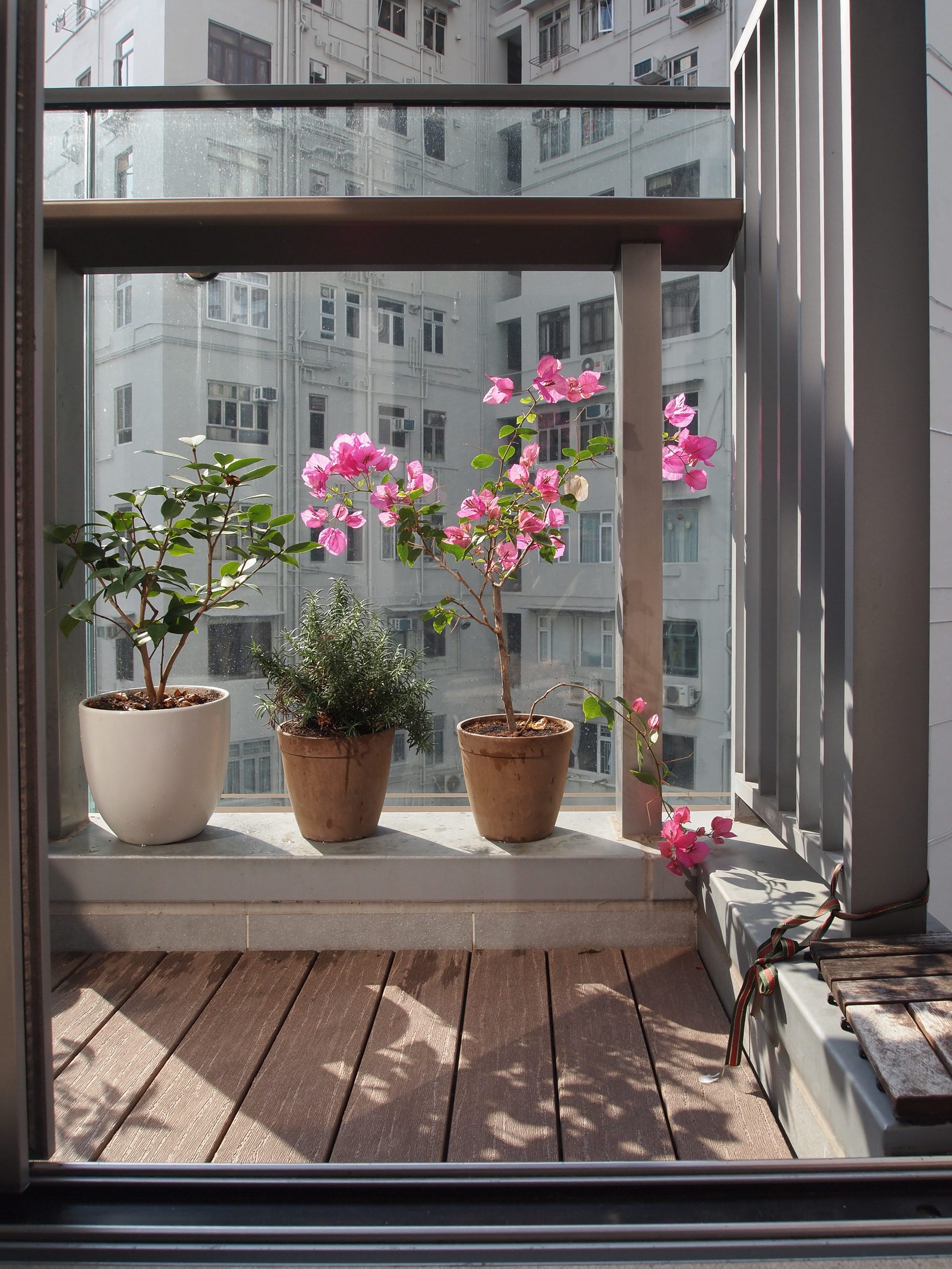 Hong Kong - Olympus E-PL1