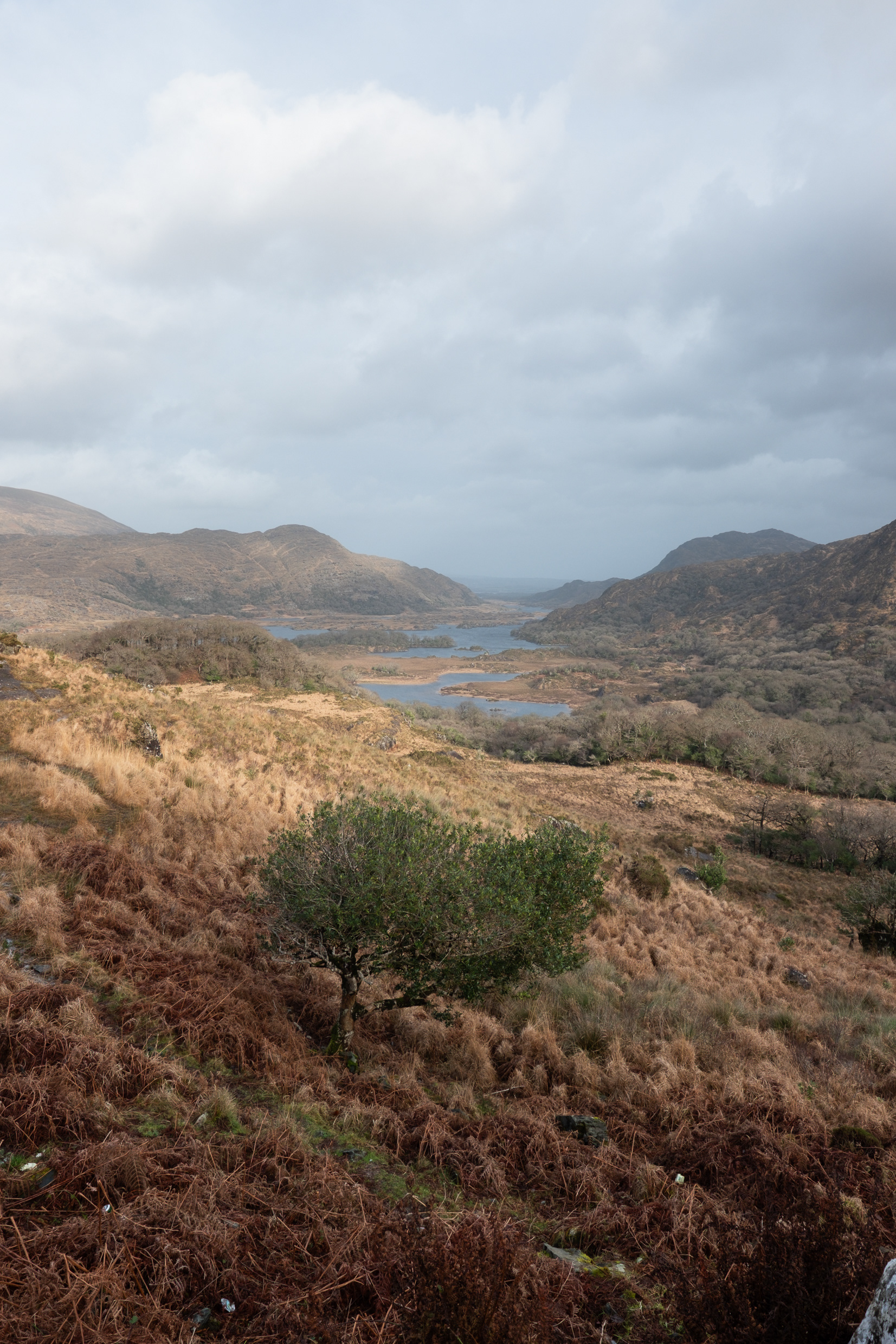 Ireland - Fujifilm X-Pro2 + XF14mm F/2.8
