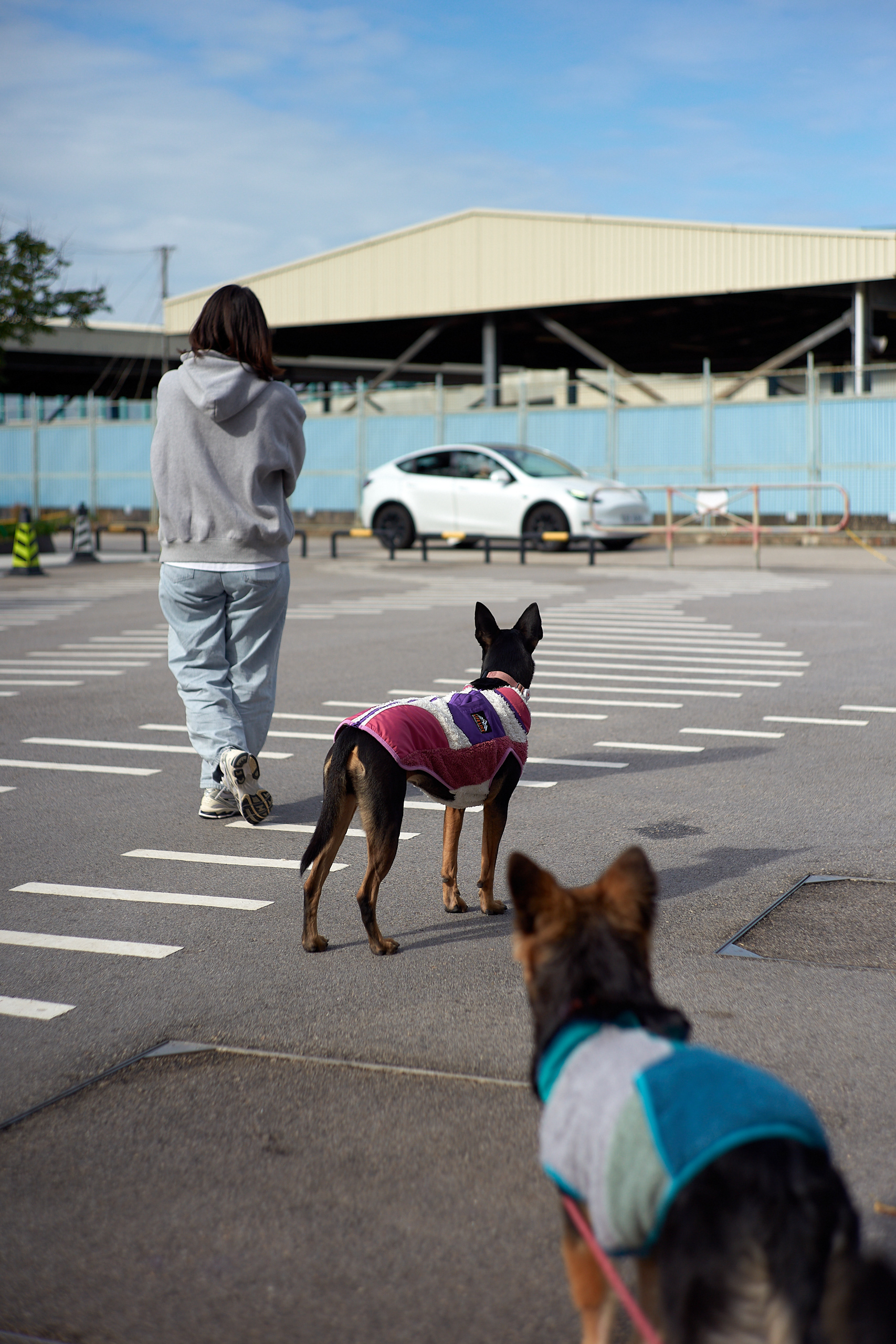 Hong Kong - Leica M10-P Reporter + Light Lens Lab 50mm f/2 "Elcan"