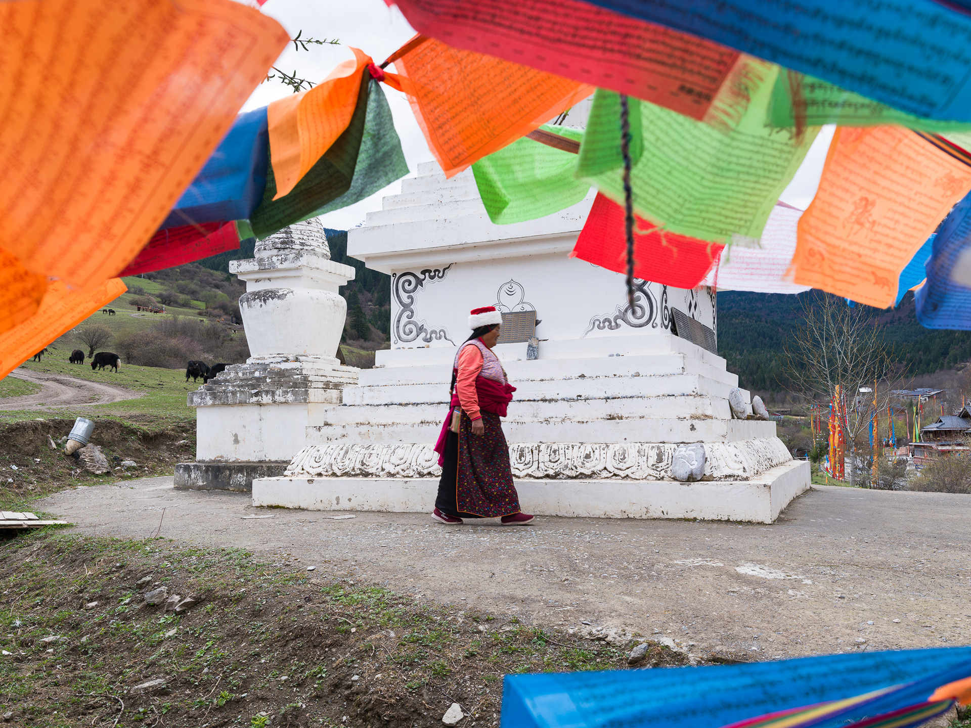 Jiuzhaiguo - Hasselblad X2Dii + XCD 35-100e