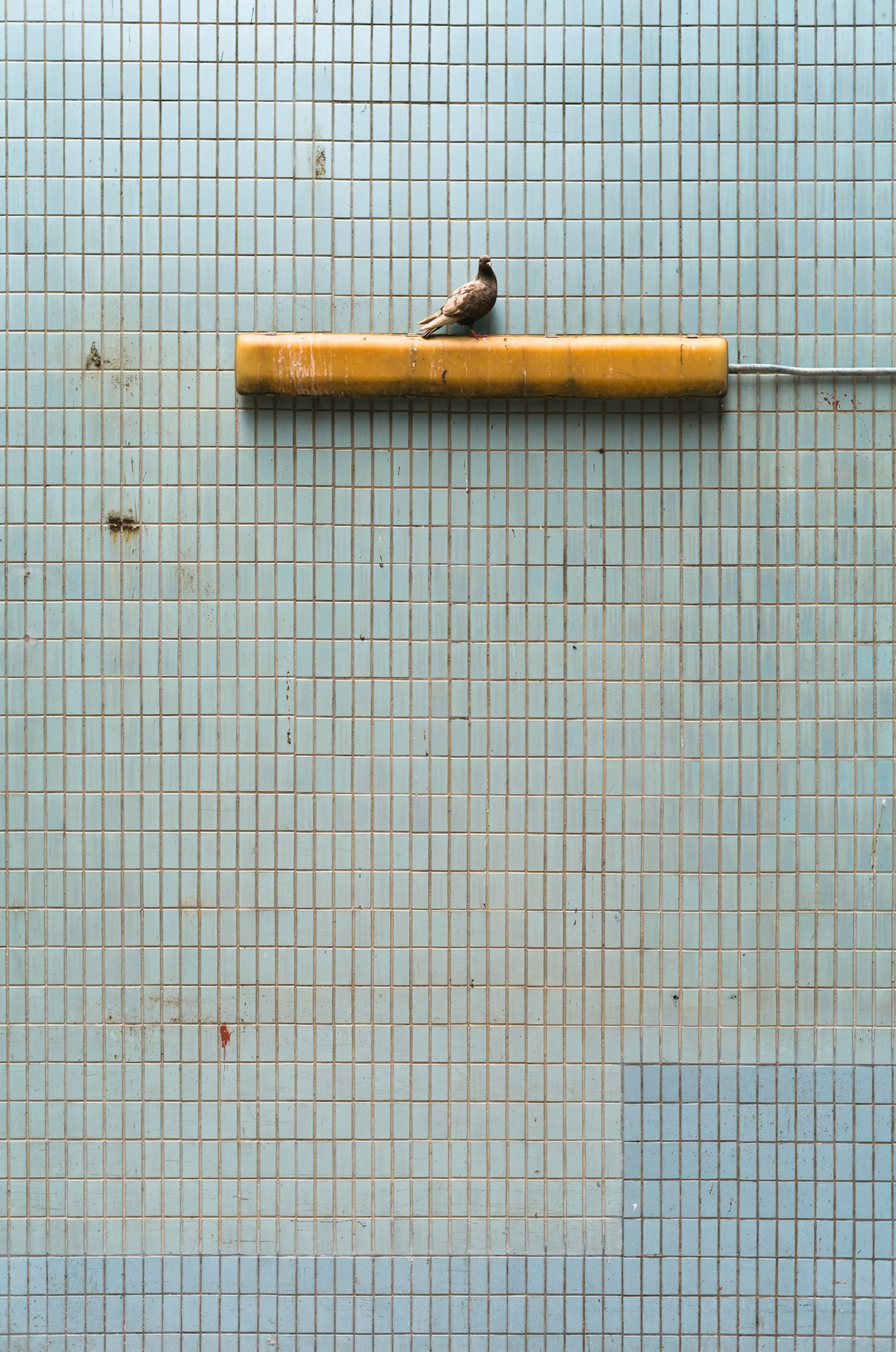 Hong Kong - Leica M11-P