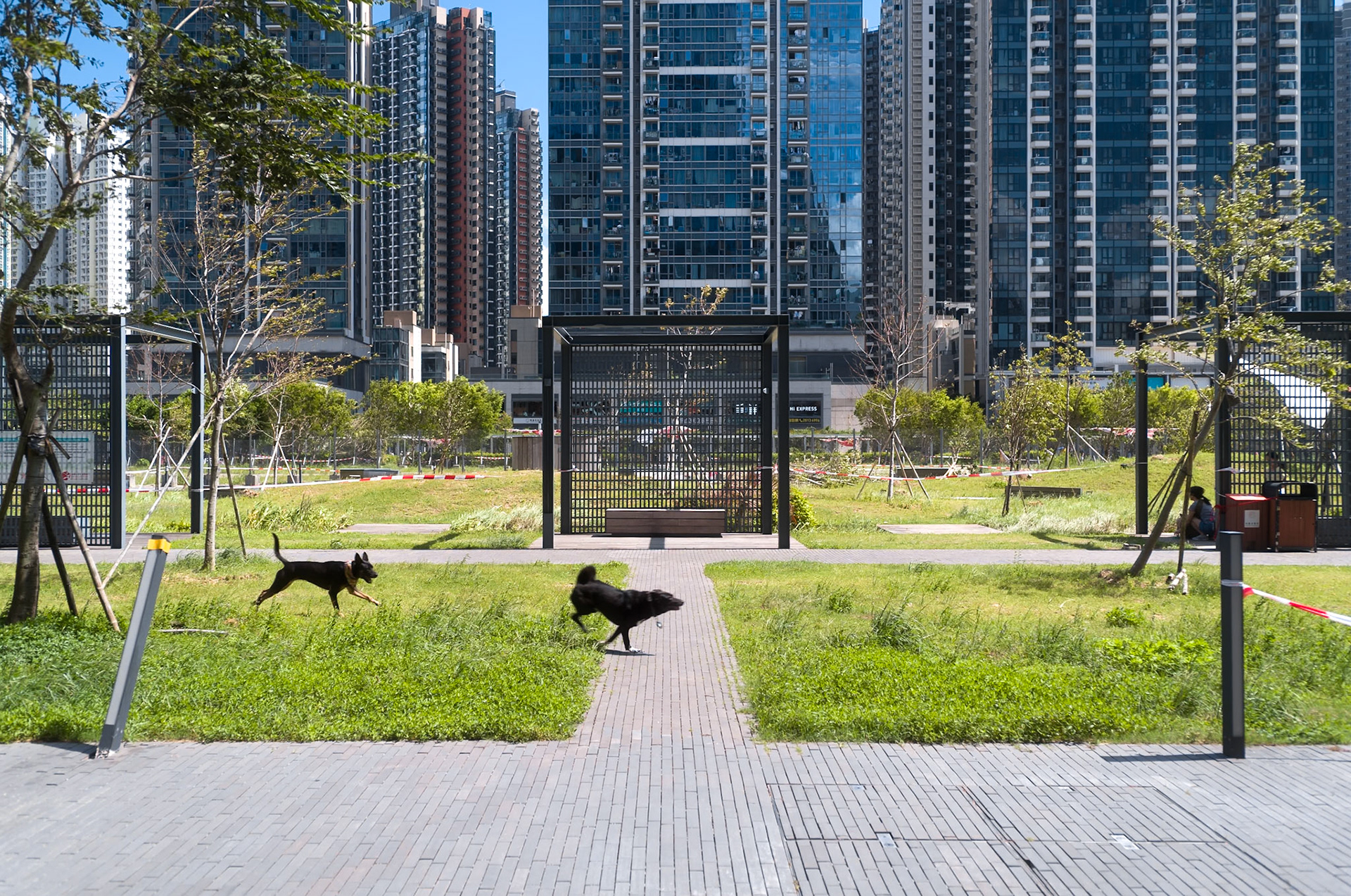Hong Kong street - Leica M11-P