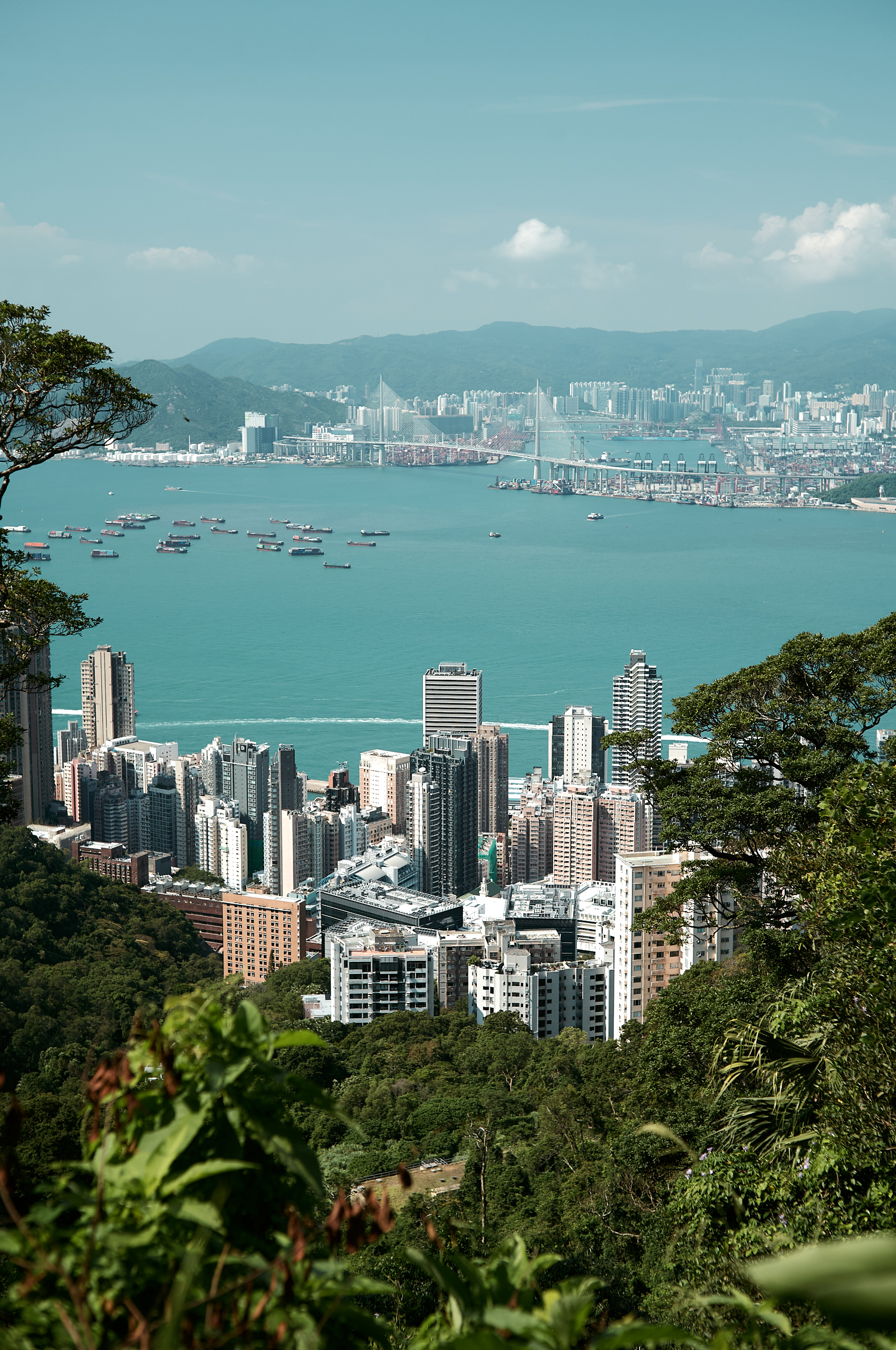 Hong Kong - Leica M11-P + Zeiss C Sonnar 50mm F/1.5