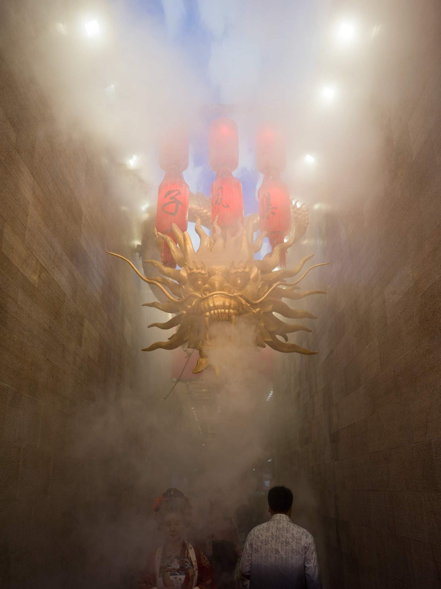 Dragon, Xi'an, China - Hasselblad X1Dii 