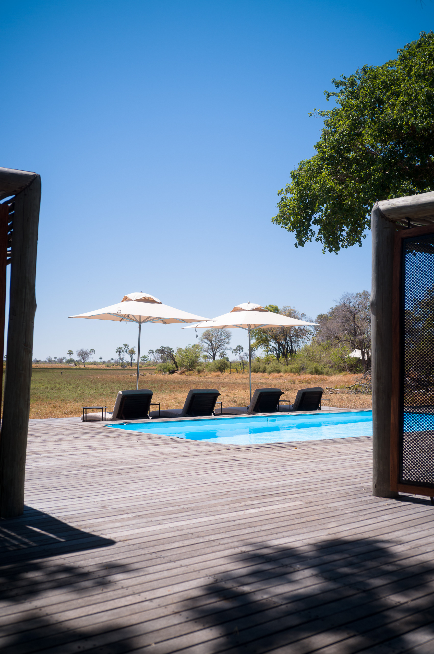 Camp 2, &Beyond Nxabega Tented Camp, Okavango Delta, Botswana - Leica M11-P + Zeiss C Biogon 2.8/35