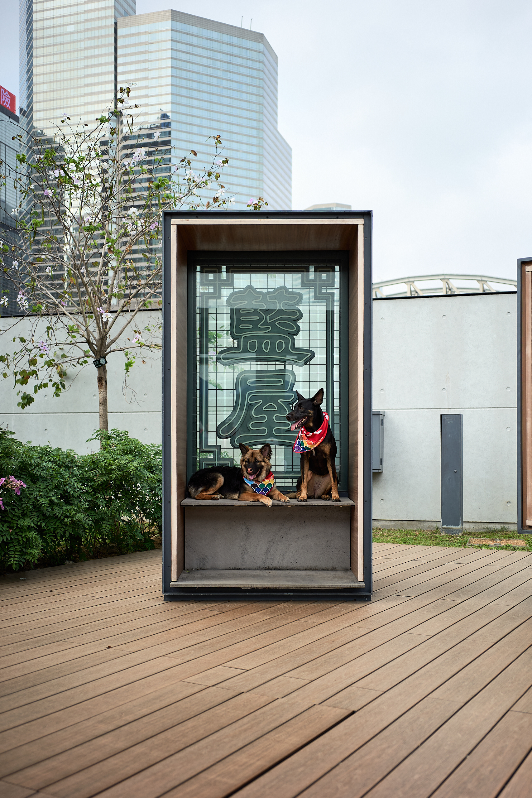 Hong Kong - Leica M10-P Reporter + Zeiss C Biogon 35mm F/2.8