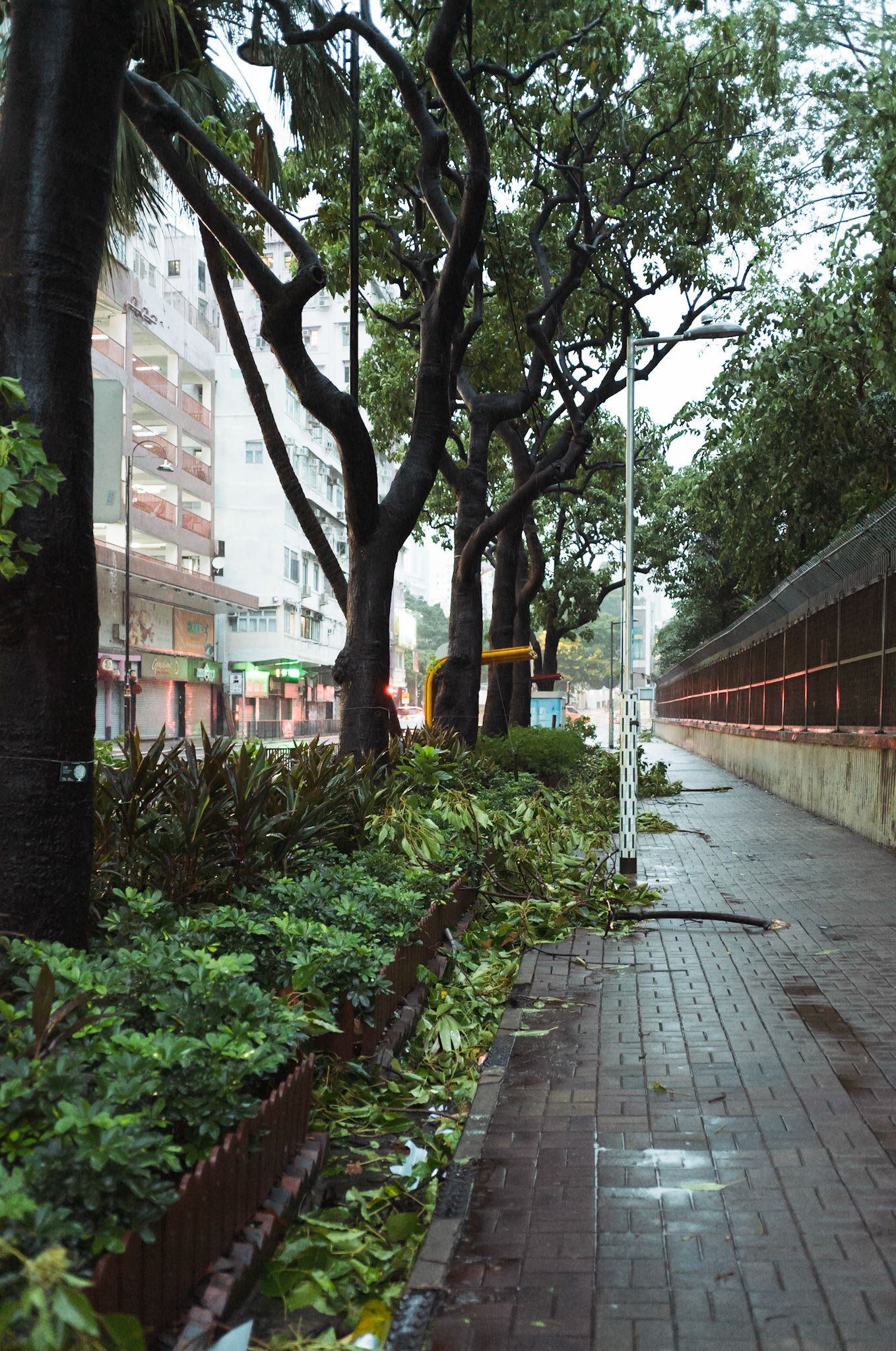 Hong Kong Typhoon aftermath - Leica M11-P