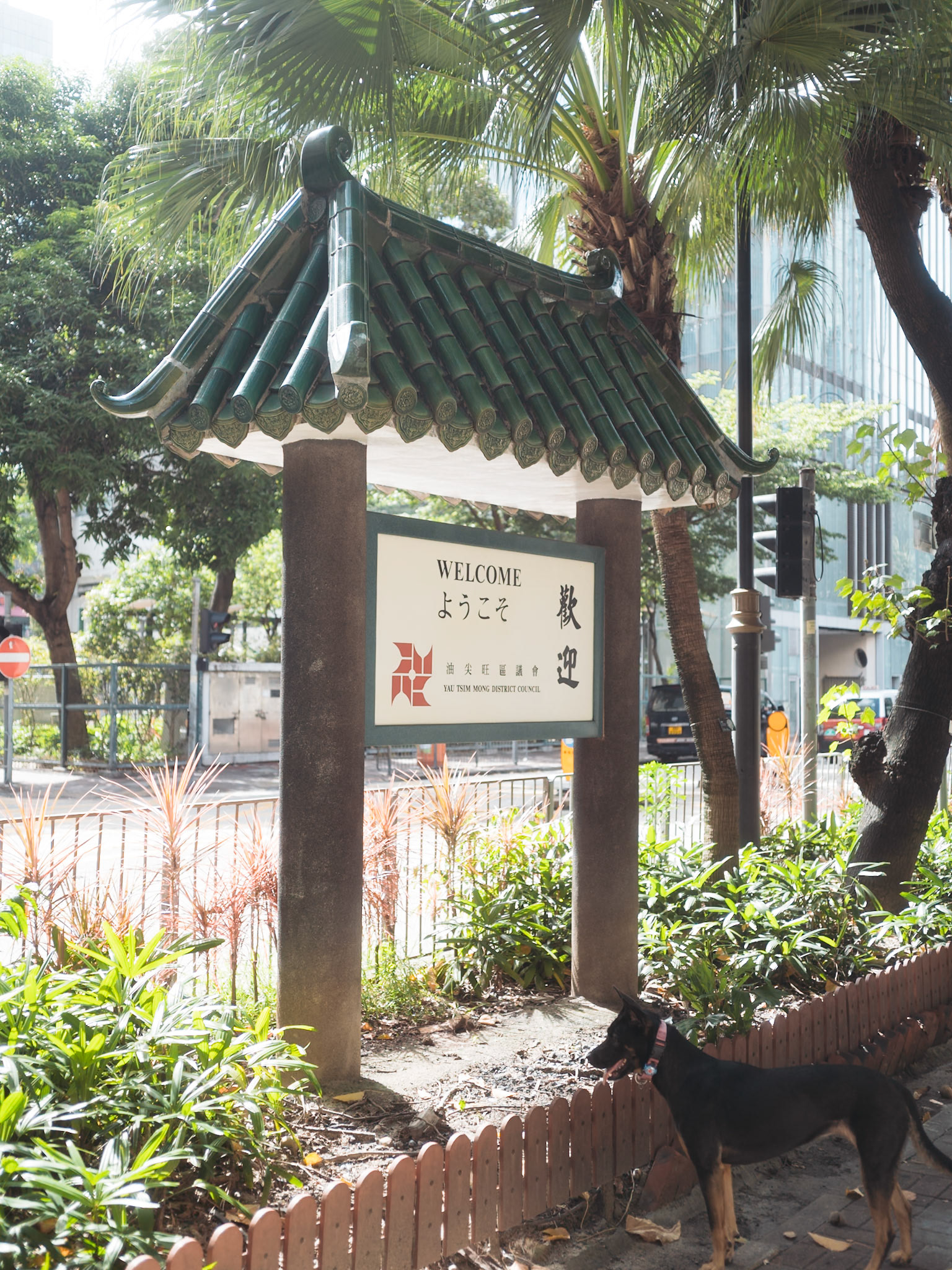 Hong Kong street - Leica M11-P