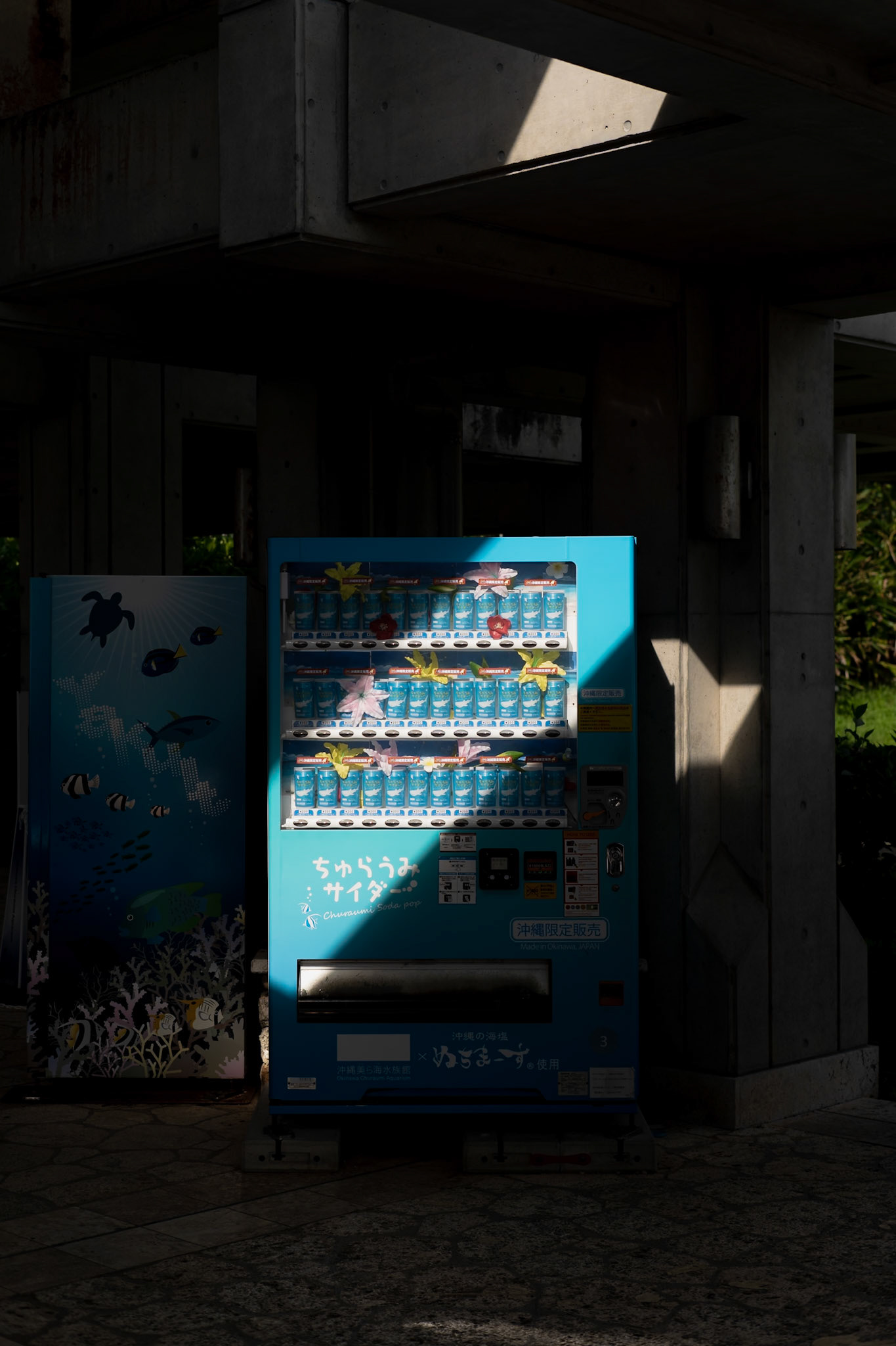 Blue vending machine, Okinawa - Leica SL2-S