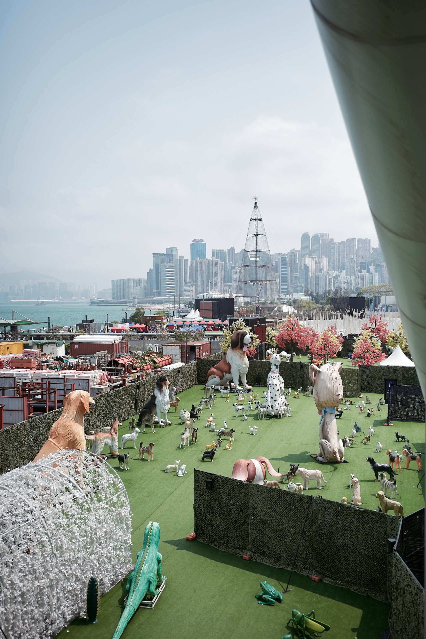 Hong Kong - Leica M10-P Reporter + Zeiss C Biogon 35mm F/2.8
