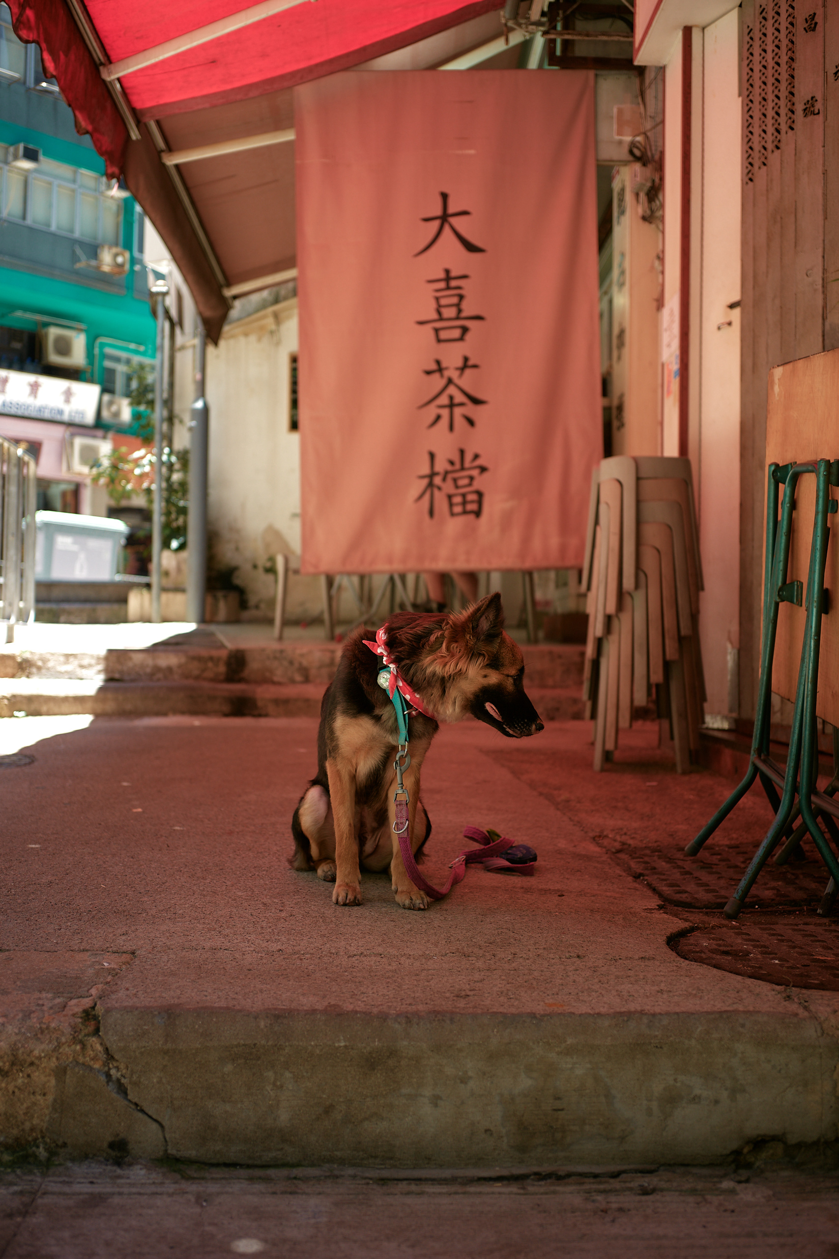 Hong Kong - M10-P Reporter + Zeiss C Biogon 35mm f/2.8
