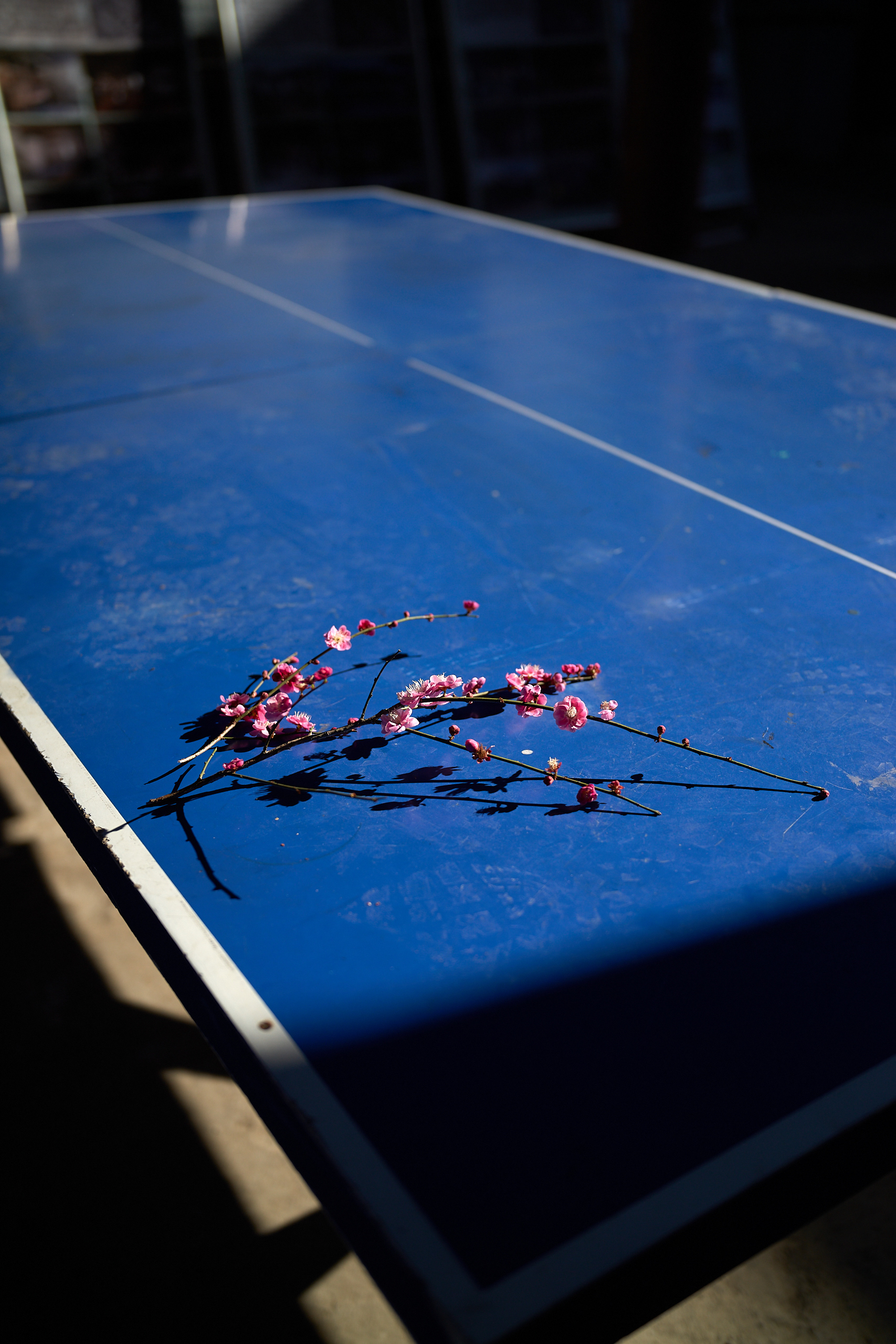 Leica M10-P Reporter - Hangzhou, China