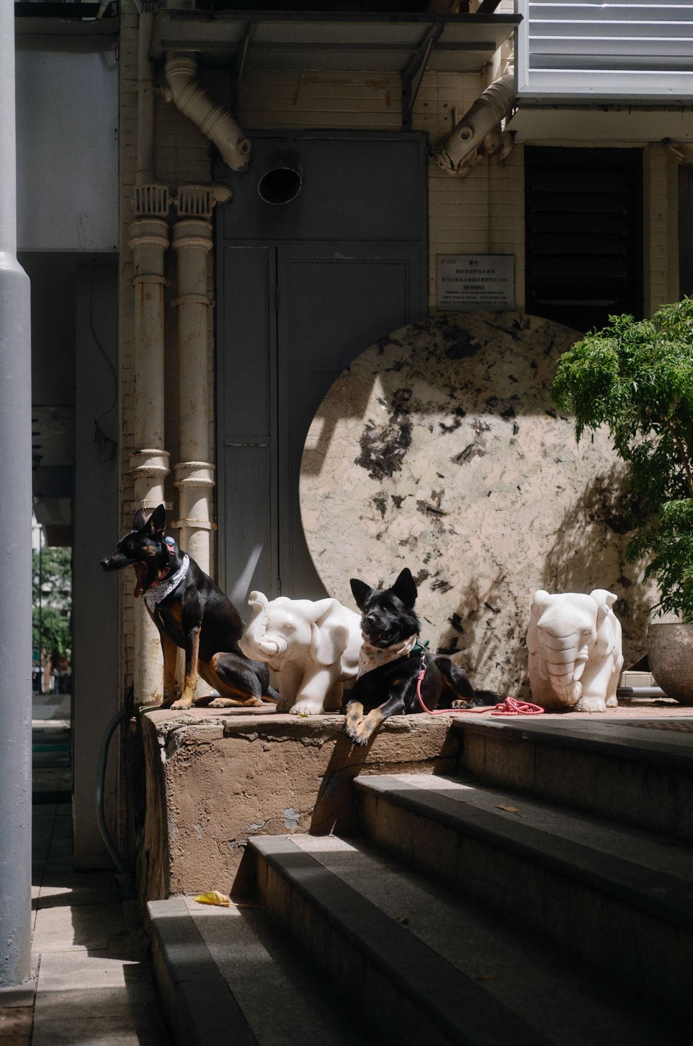 Hong Kong street - Leica M11-P