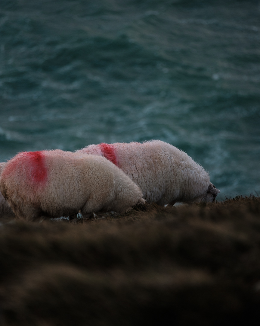 Ireland - Fujifilm X-Pro2