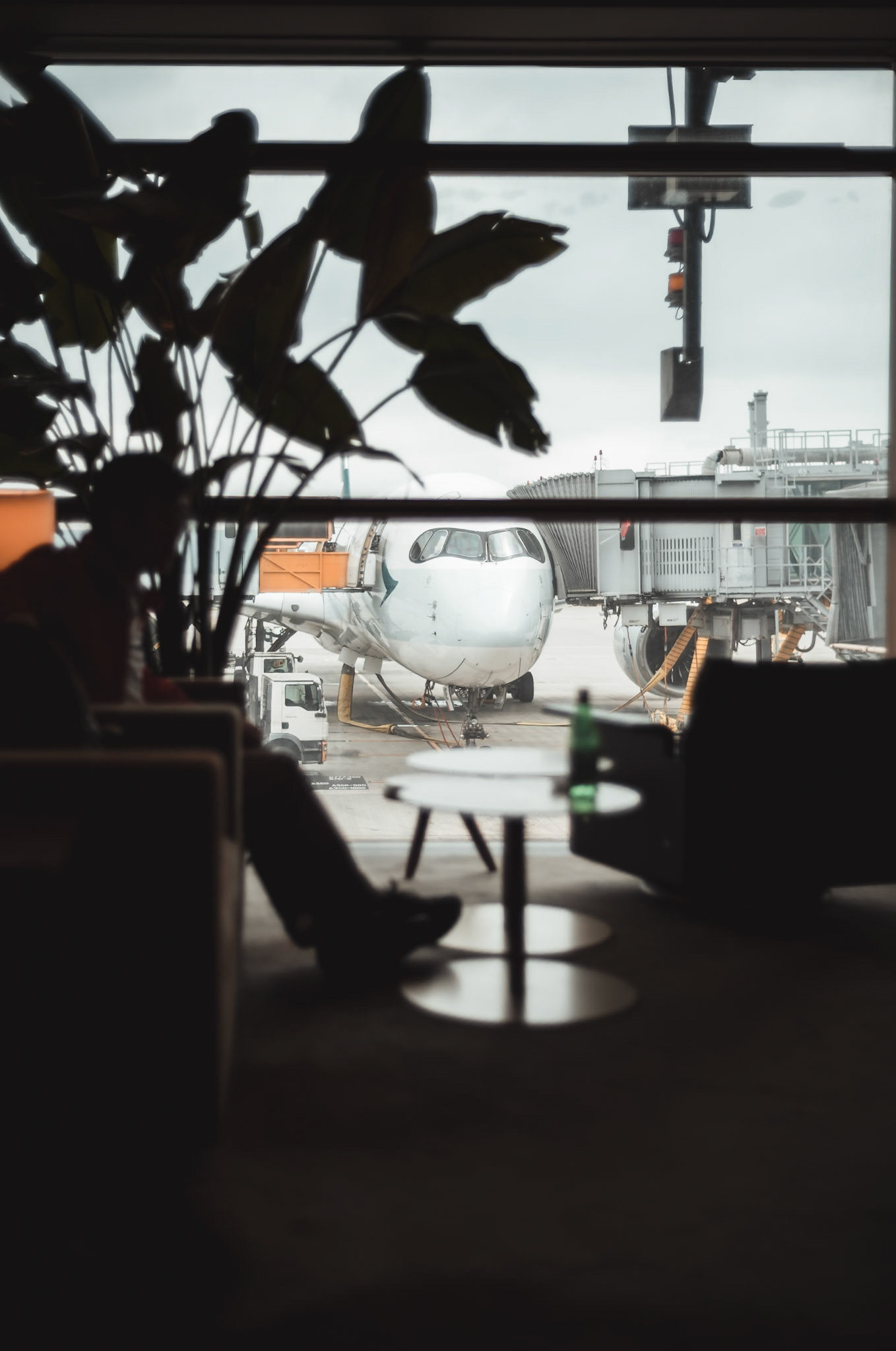 Leica M11-P + Voigtlander Nokton 1.4/40