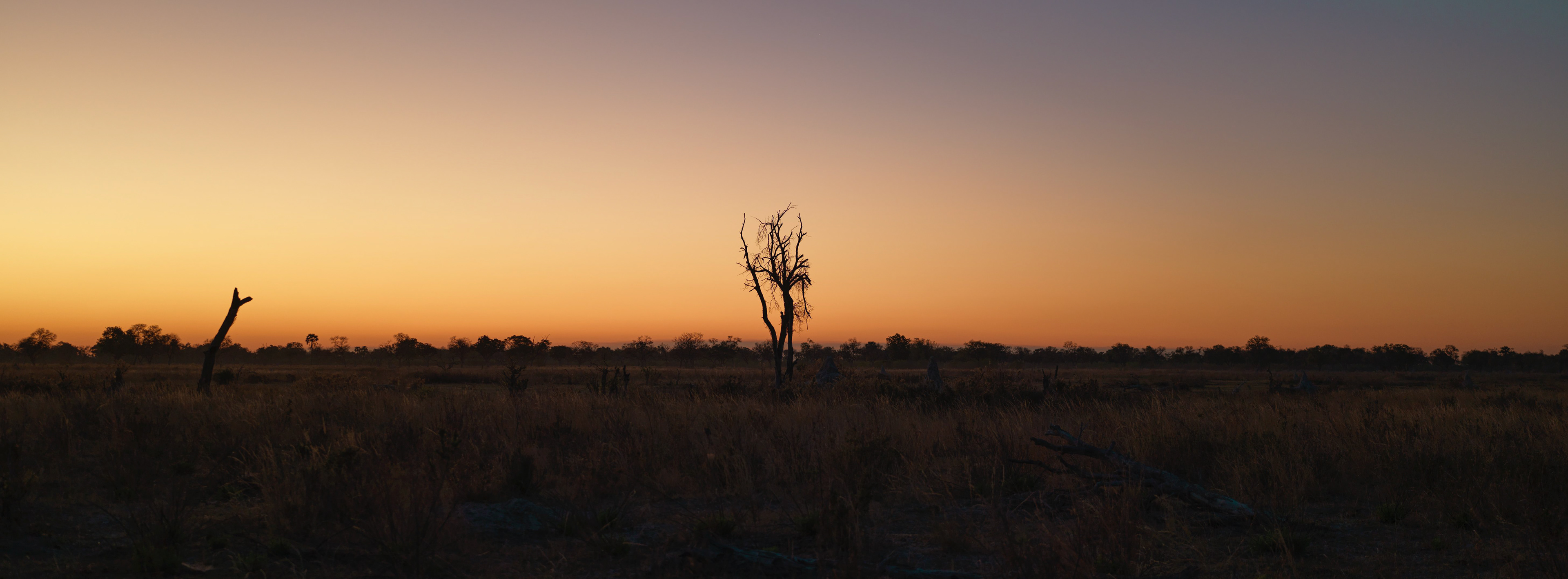 Sunset over Okavango Delta, Botswana - Hasselblad X2Dii + XCD 55v