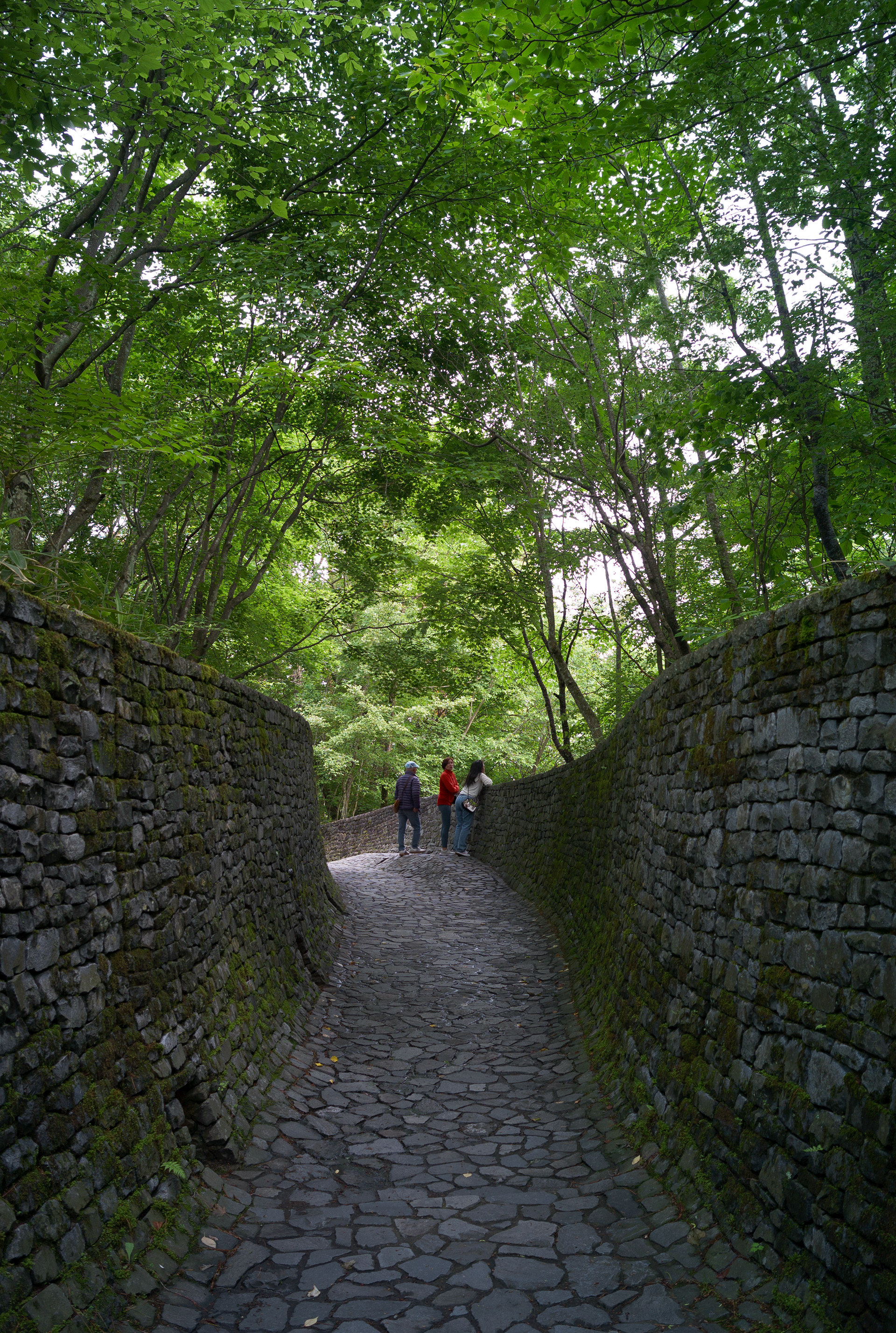 Karuizawa, Japan - Leica M8 + Thypoch Ksana 21mm F/3.5
