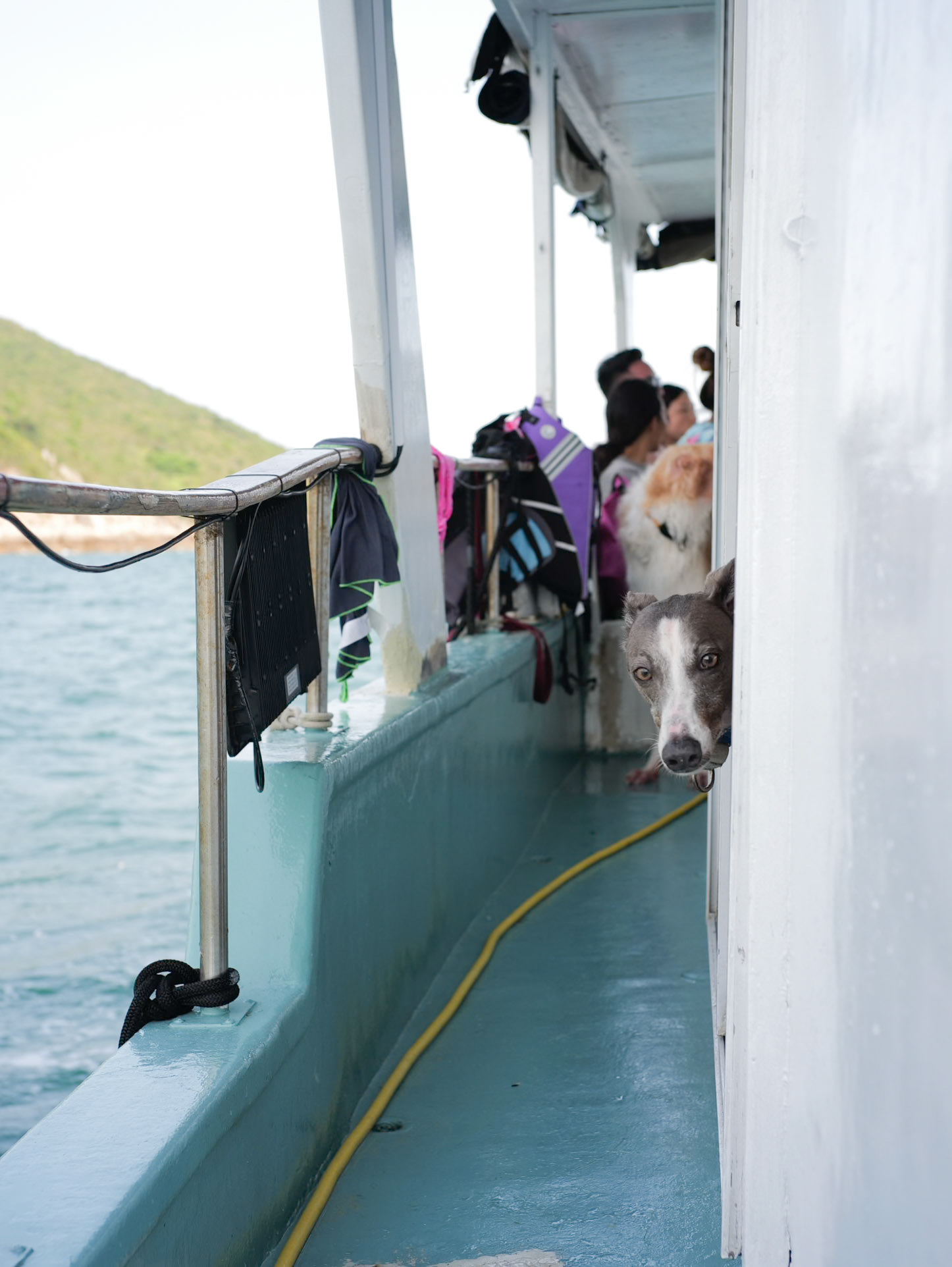Boat trip, Hong Kong - Leica SL2-S