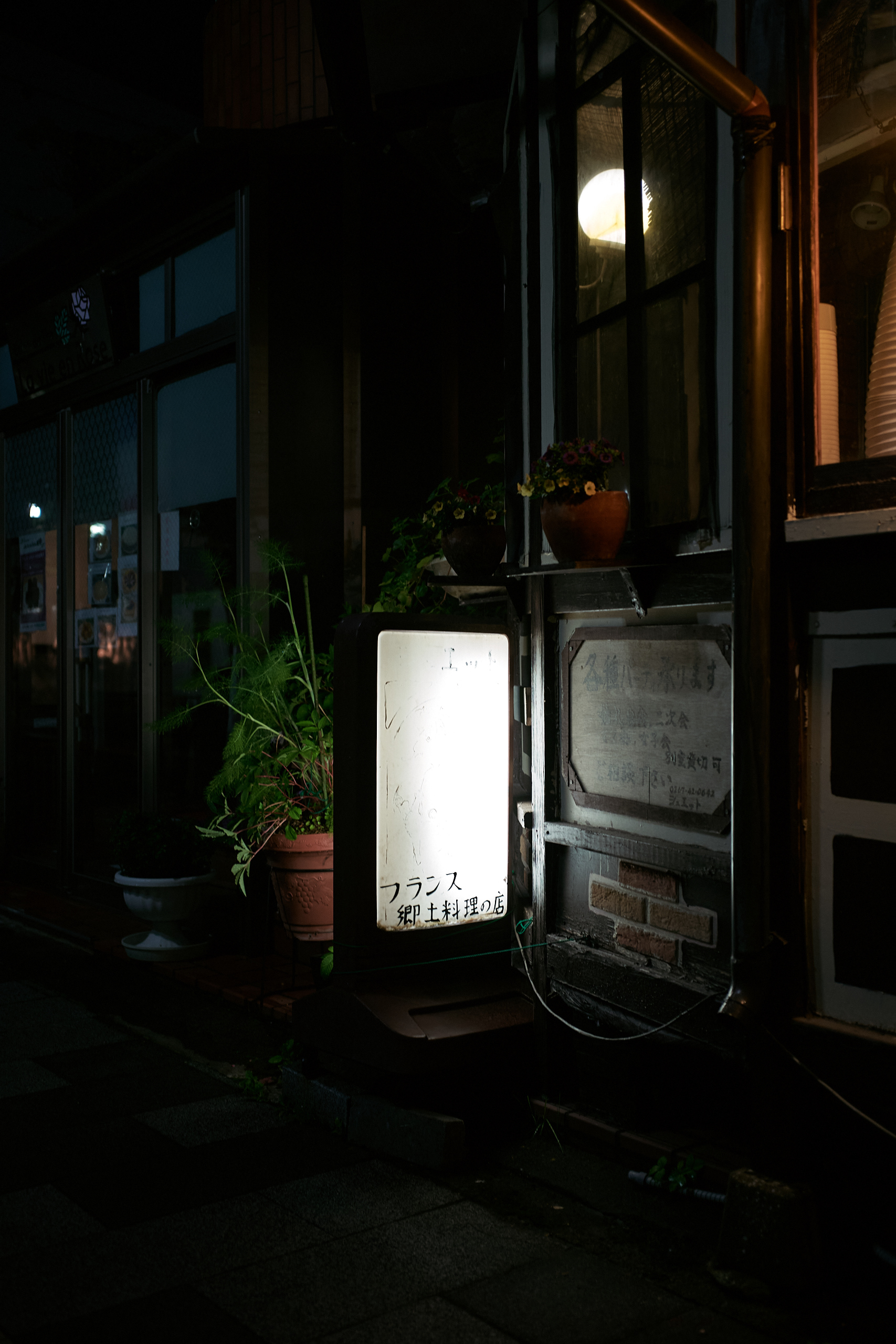 Japan - M10-P Reporter + Zeiss C Biogon 35mm f/2.8