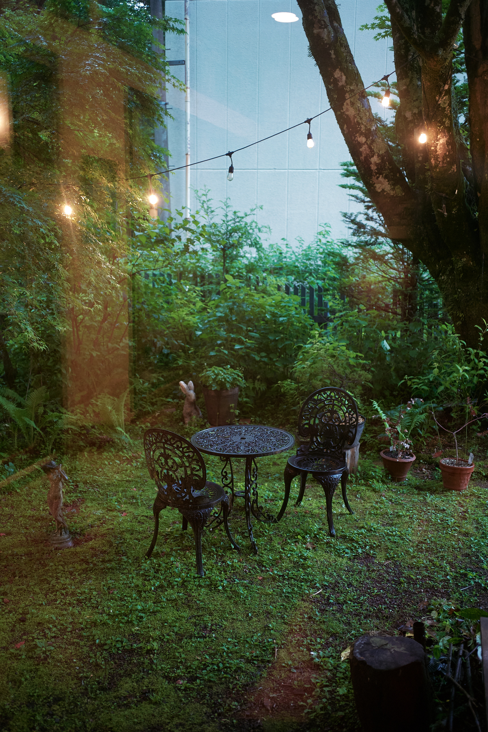 Japan - M10-P Reporter + Zeiss C Biogon 35mm f/2.8