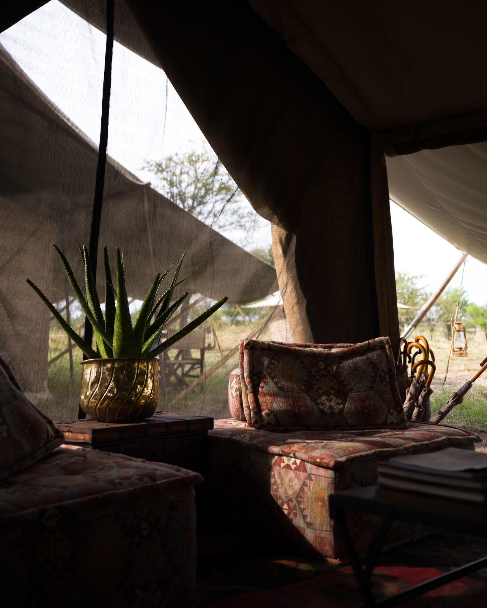 @Beyond Serengeti Under Canvas camp, Tanzania - Leica M11-P