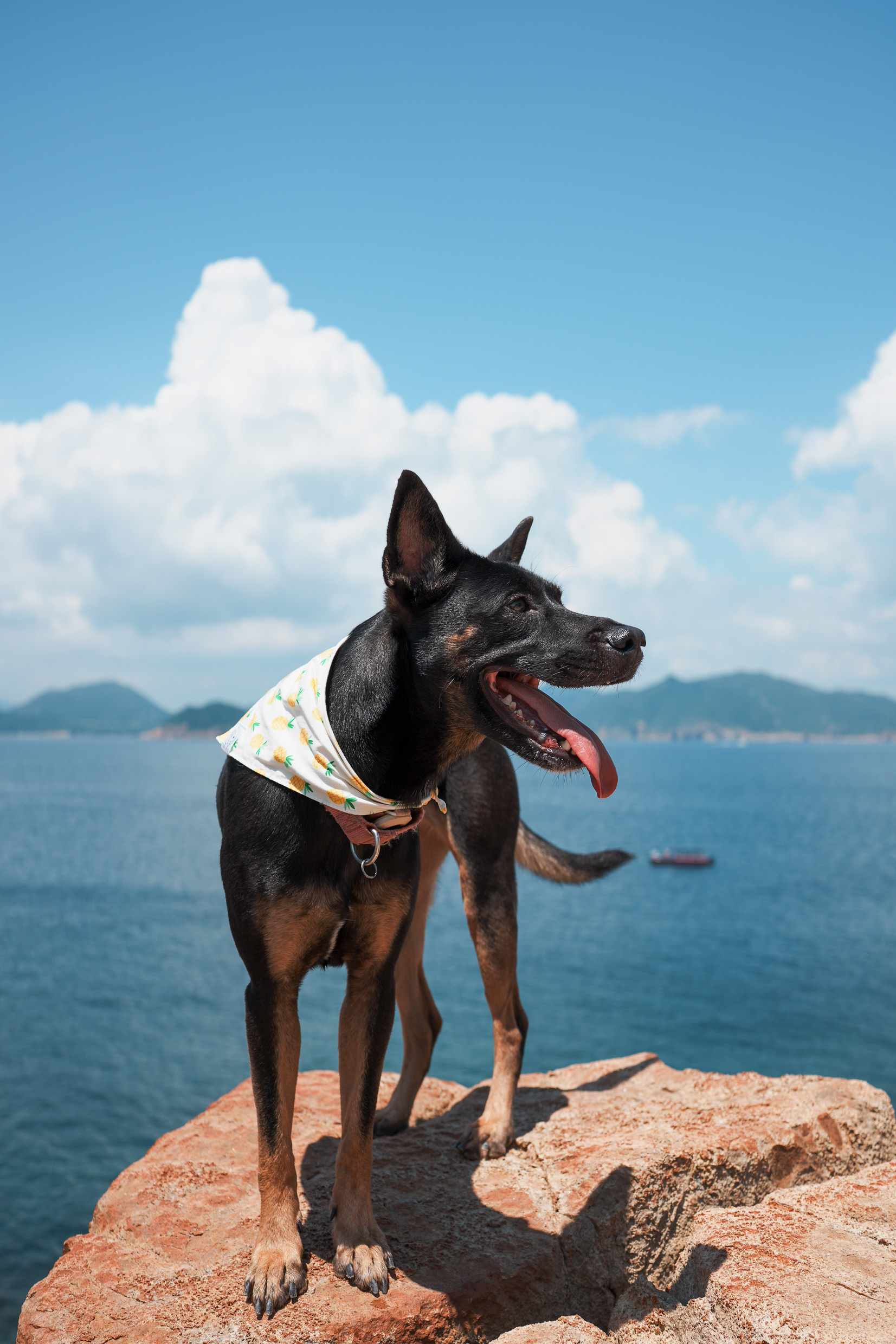 Hiking Hong Kong, Sony RX1R III