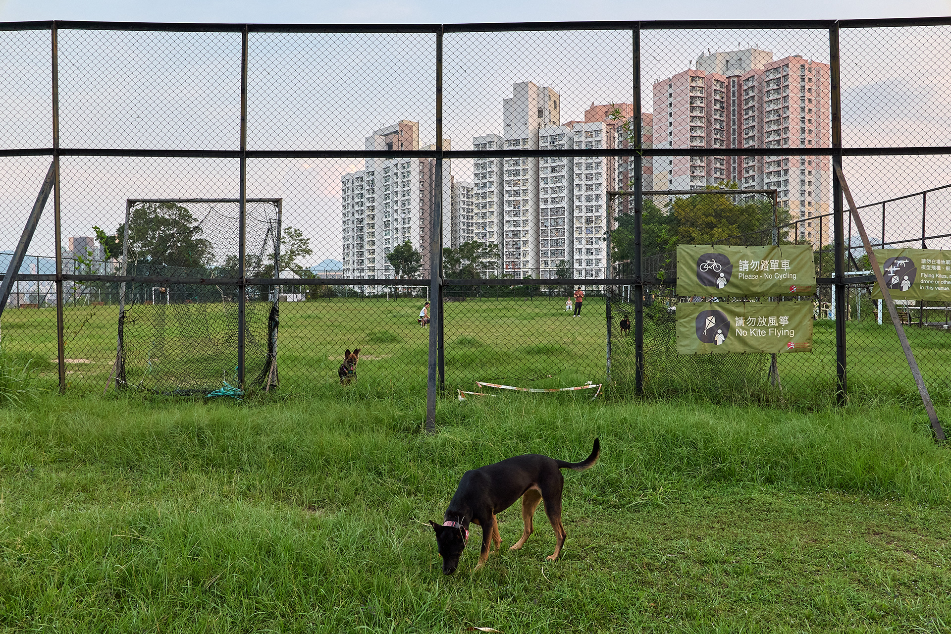 Hong Kong - Leica SL2-S + Vario-Elmarit 24-90mm f/2.8-4