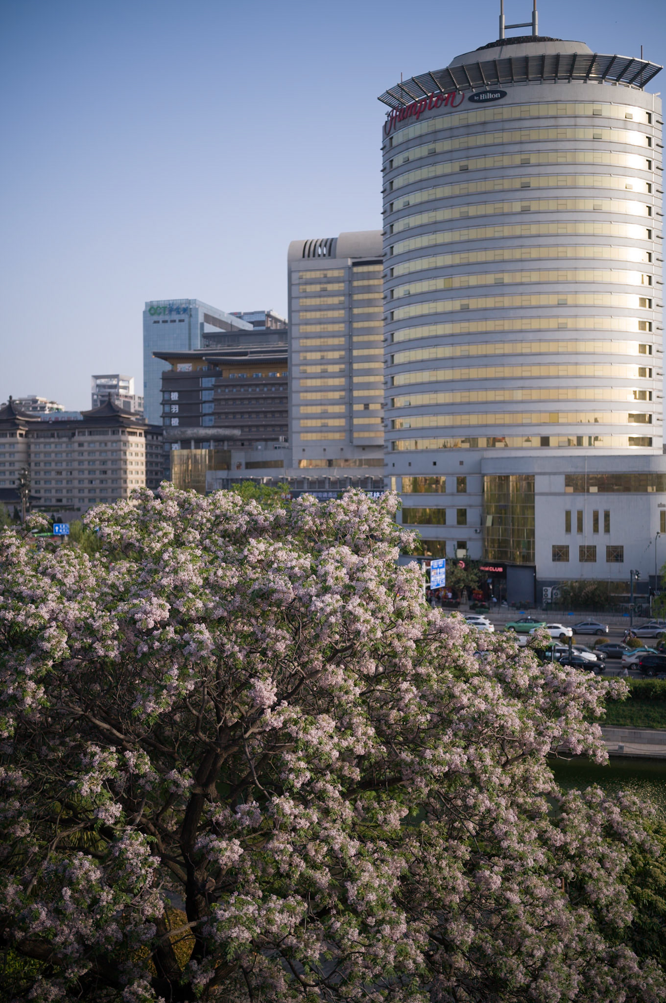 City wall flowers, Xi'an, China - Leica M11-P