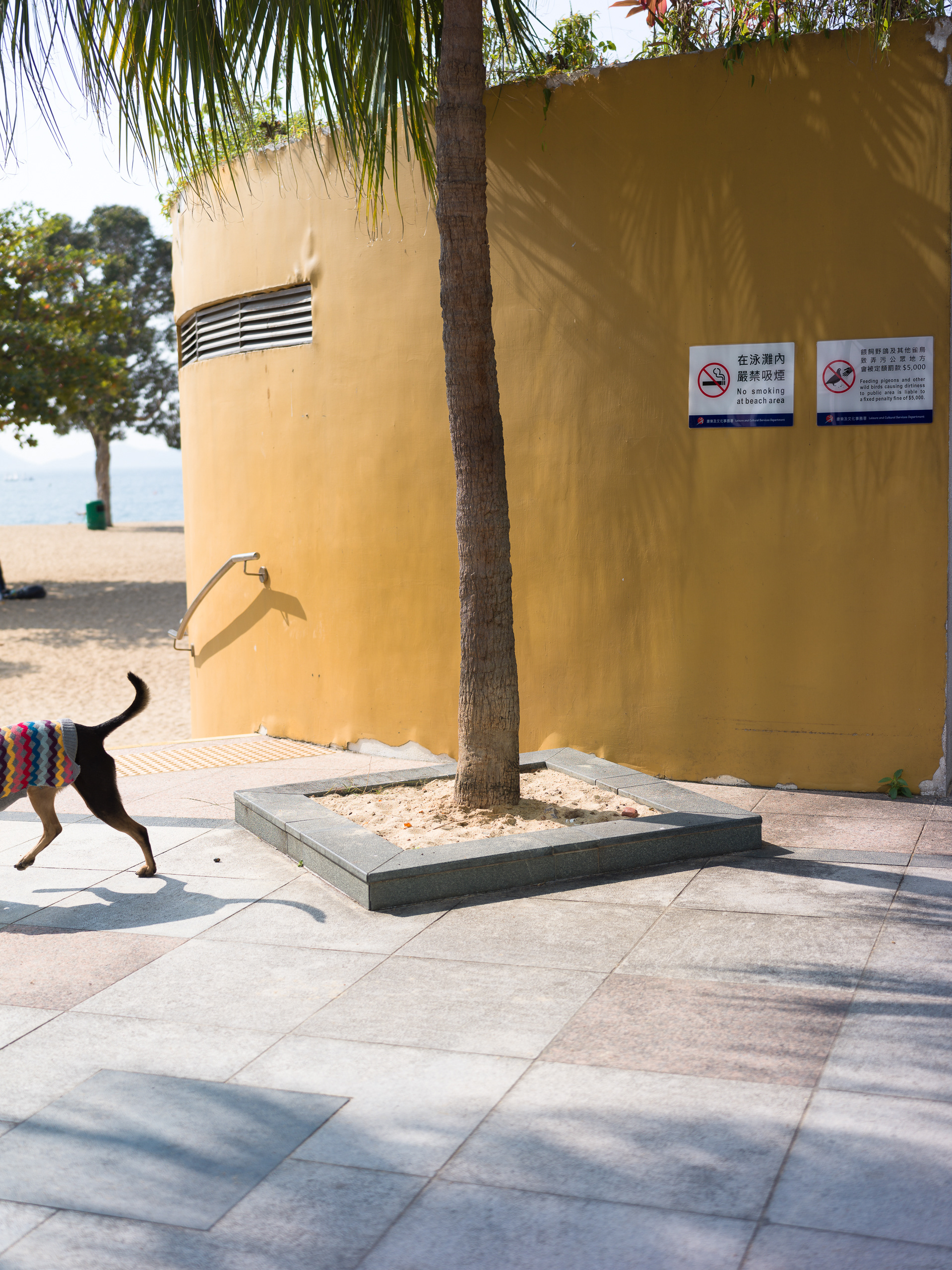 Hong Kong - Hasselblad X1Dii