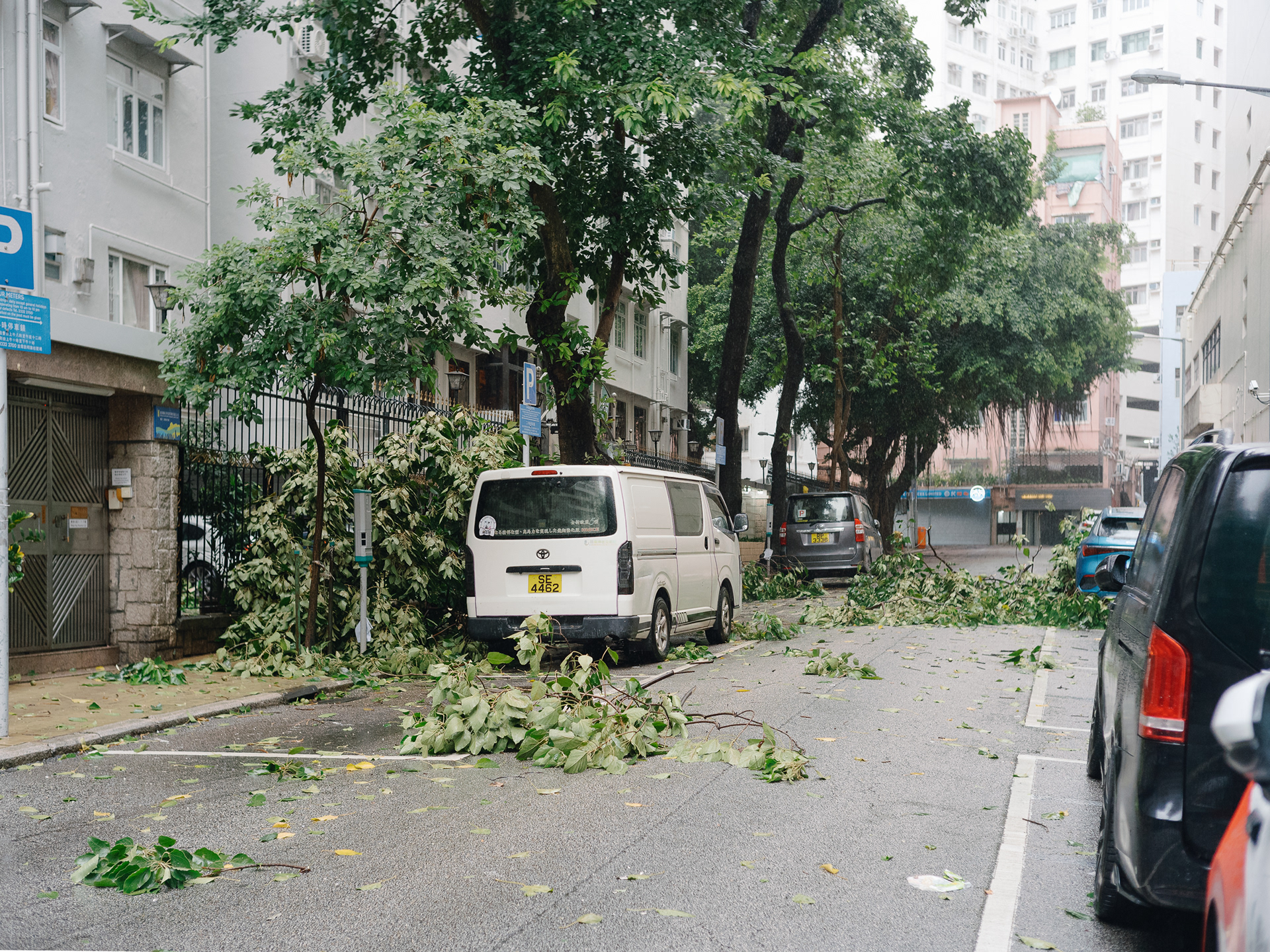 Hong Kong Typhoon - Leica SL2-S + Voigtlander Nokton 40mm F/1.4