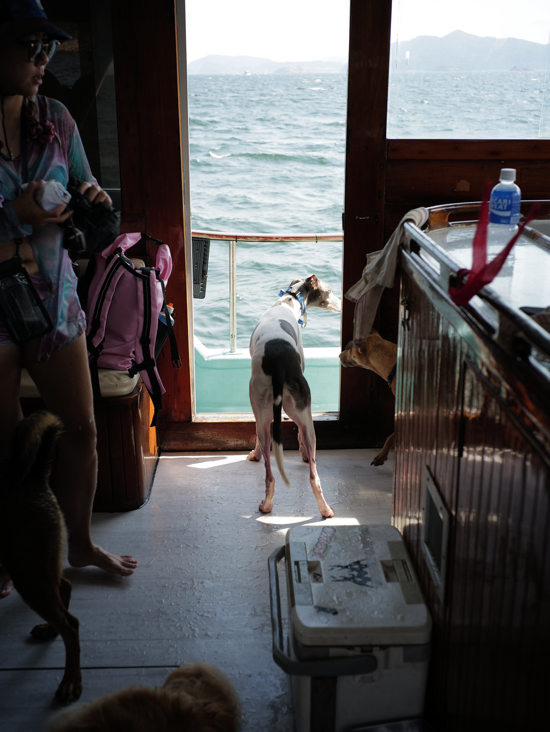Hong Kong - Leica SL2-S + Zeiss C Biogon 35mm F/2.8
