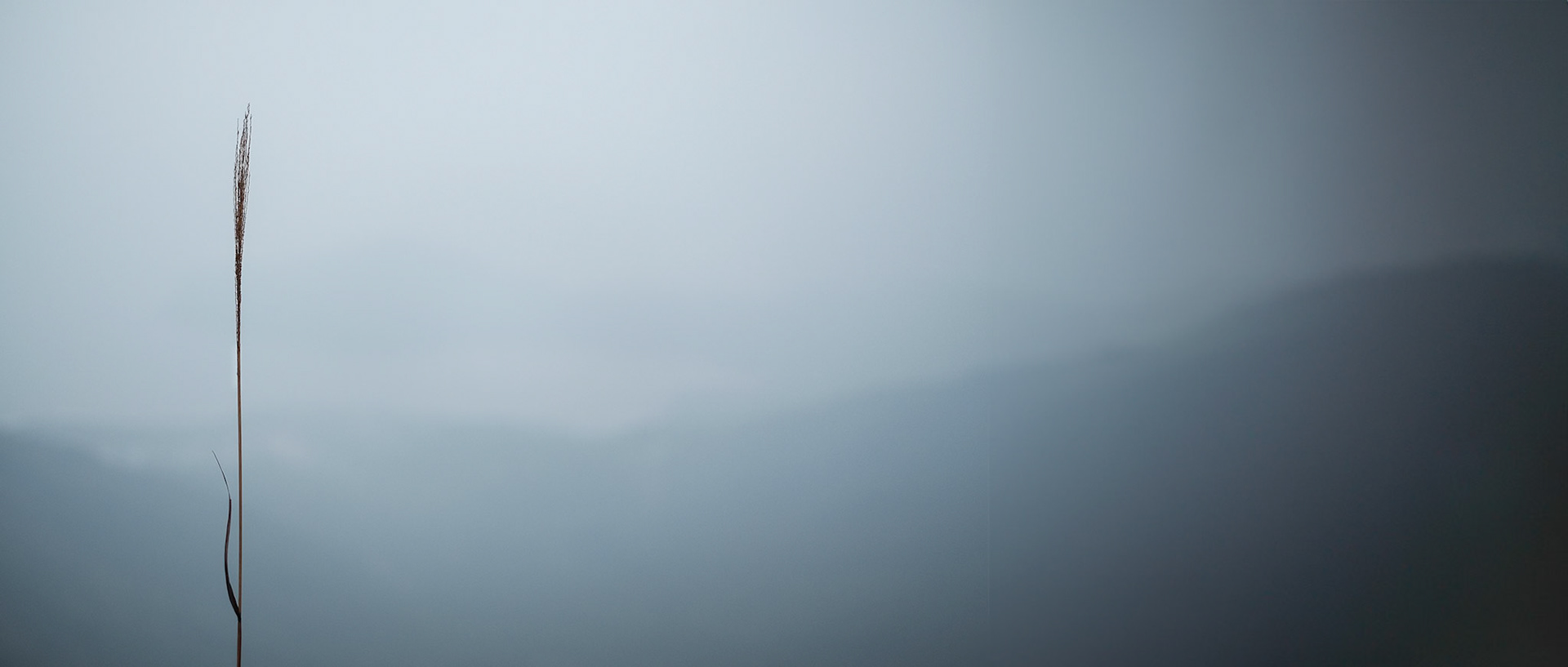 Hong Kong - Fujifilm X-T1