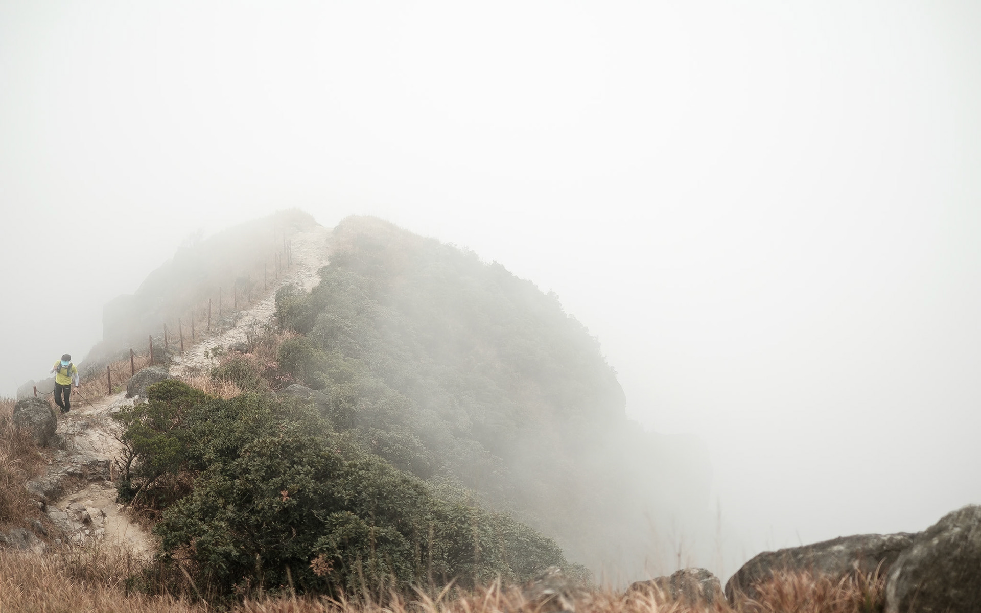 Hong Kong - Fujifilm X-T1