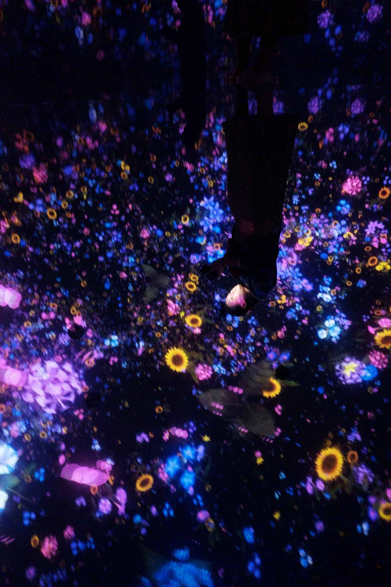 Team Lab, Tokyo, Japan - Fujifilm X-Pro2