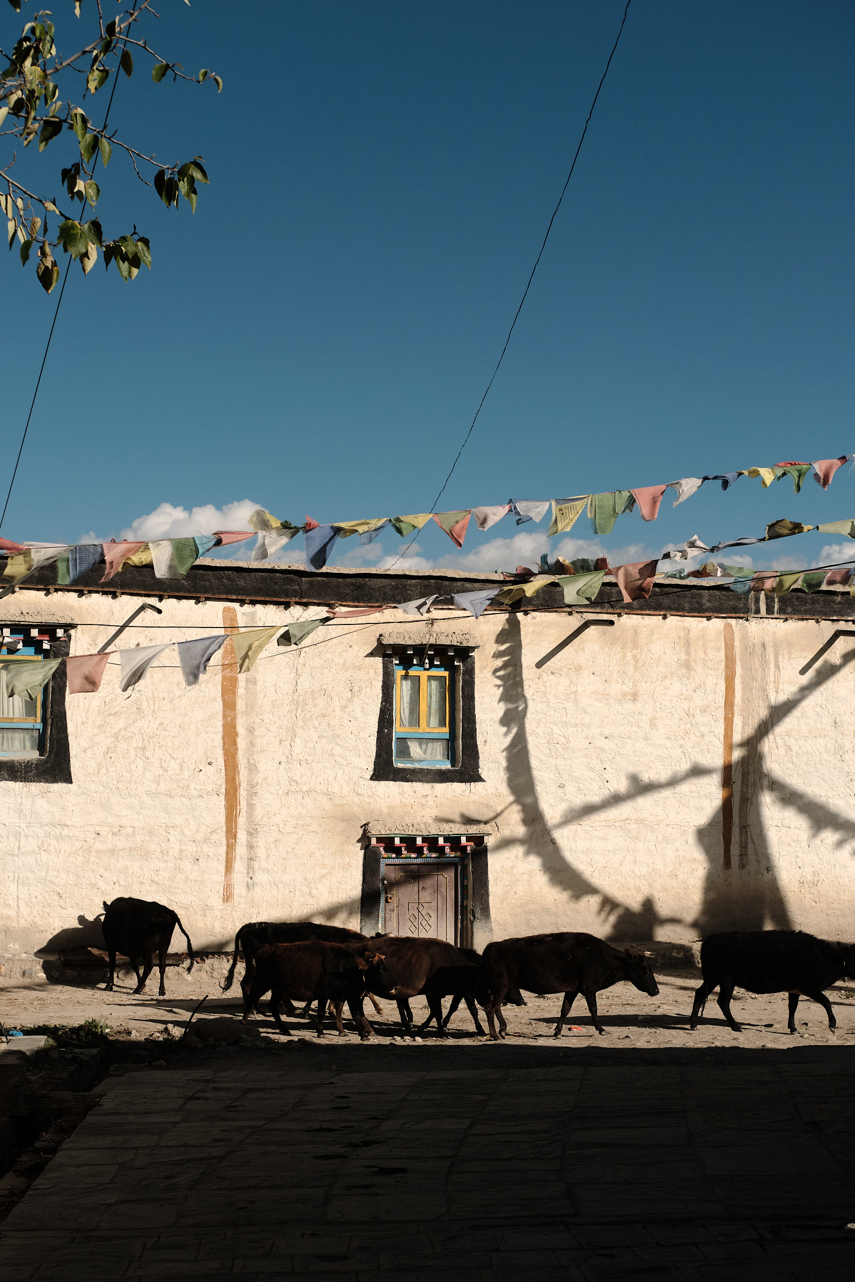 Upper Mustang, Nepal - Fujifilm X-E4 + XF35mm F/2