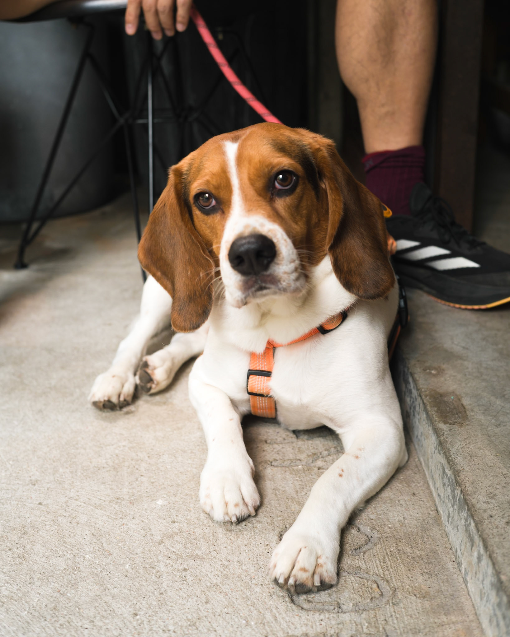Friend, Hong Kong - Leica M11-P
