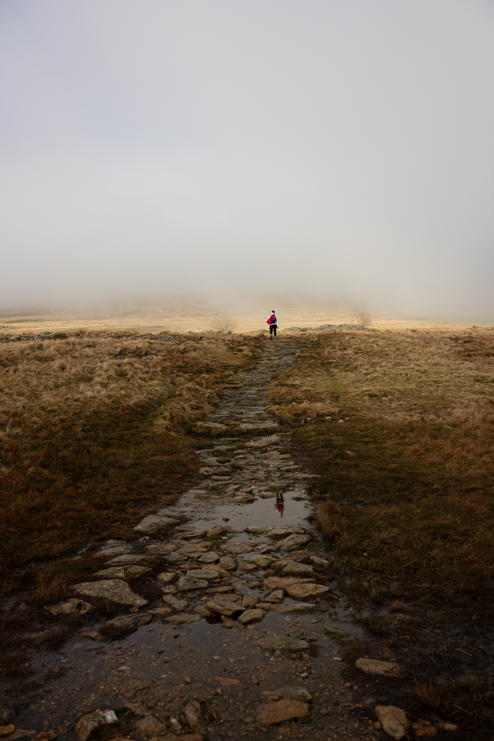 Wales - Leica SL2-S + Leica Elmarit-M 28mm F/2.8